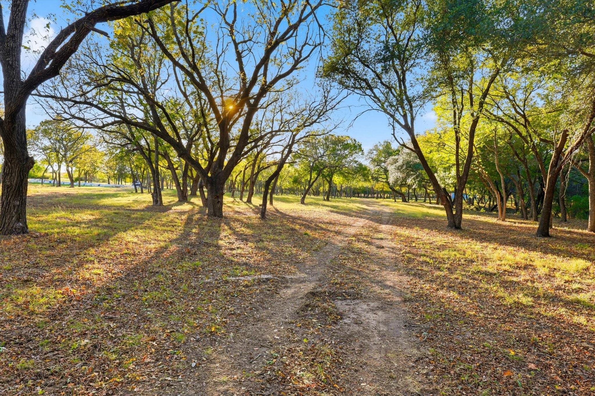2401 Bear Creek Road