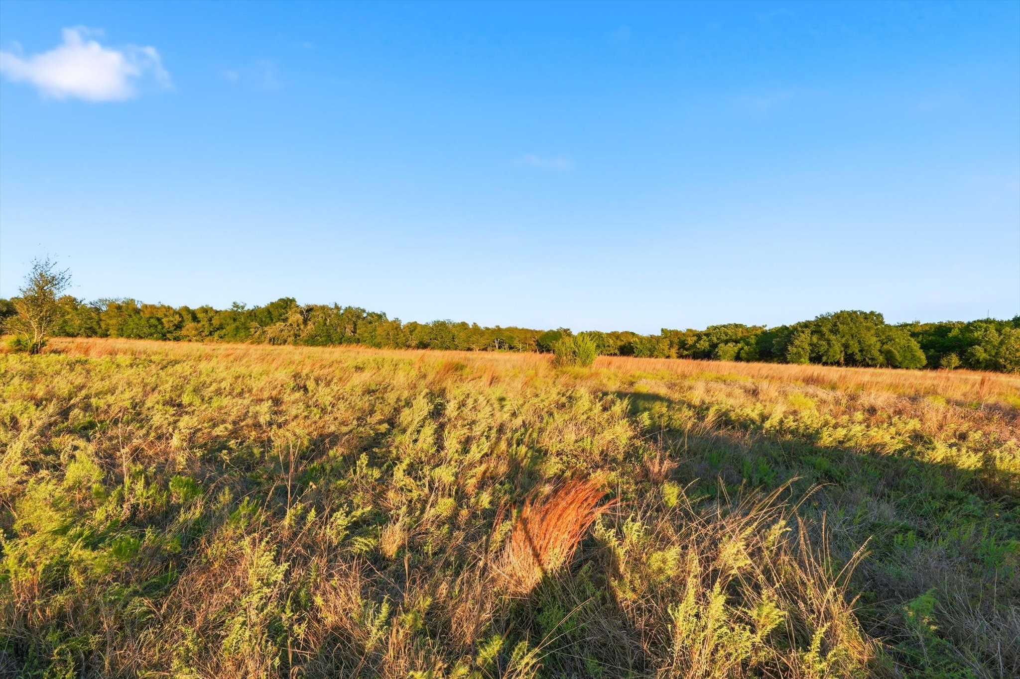 2401 Bear Creek Road