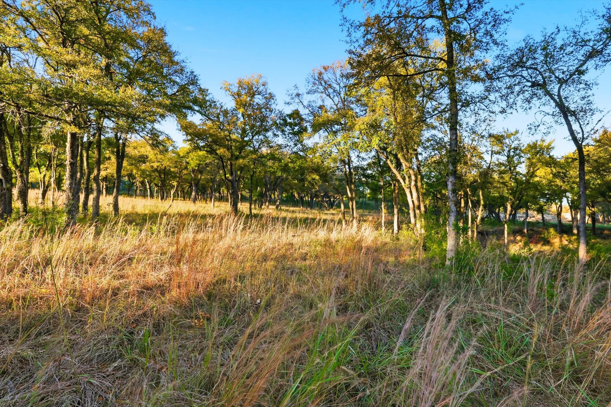 2401 Bear Creek Road