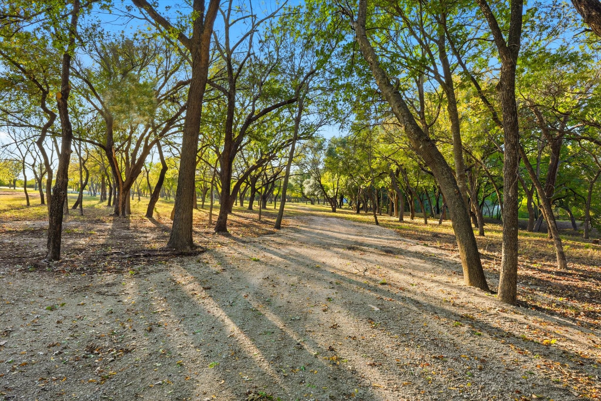2401 Bear Creek Road
