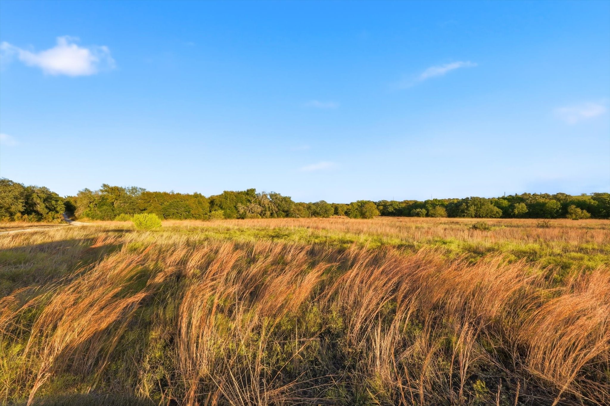 2401 Bear Creek Road