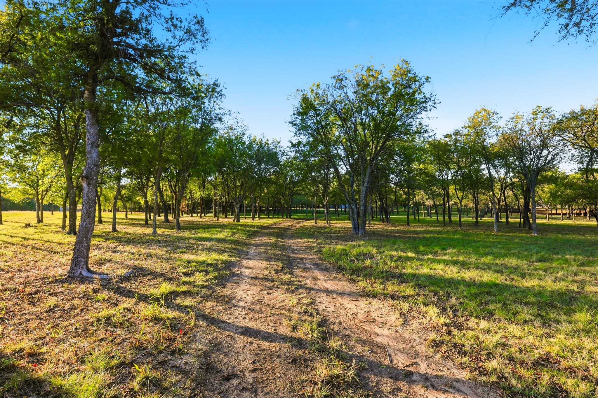 2401 Bear Creek Road