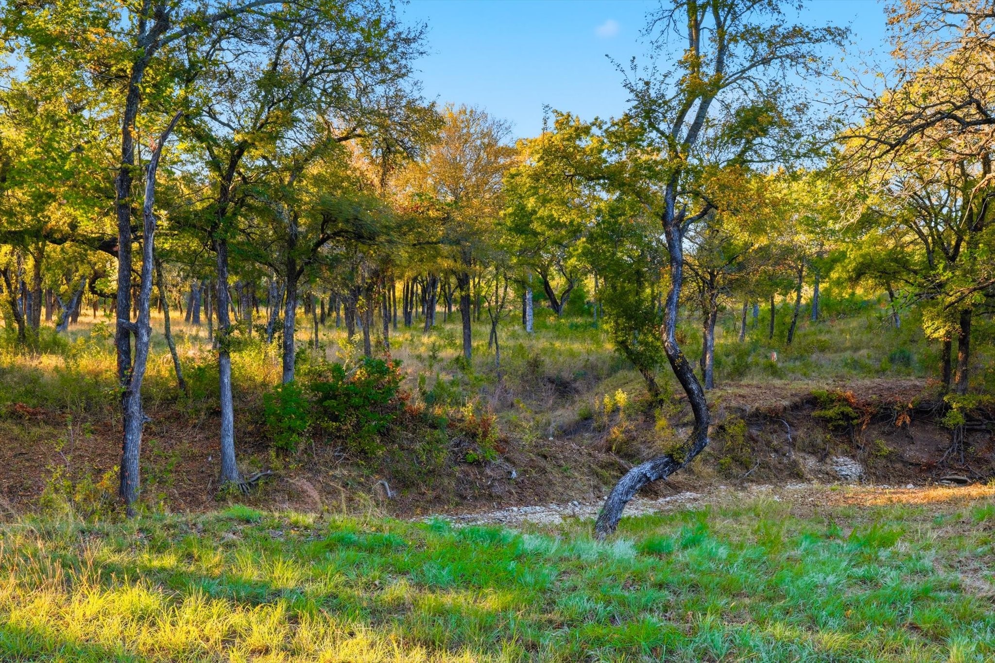 2401 Bear Creek Road