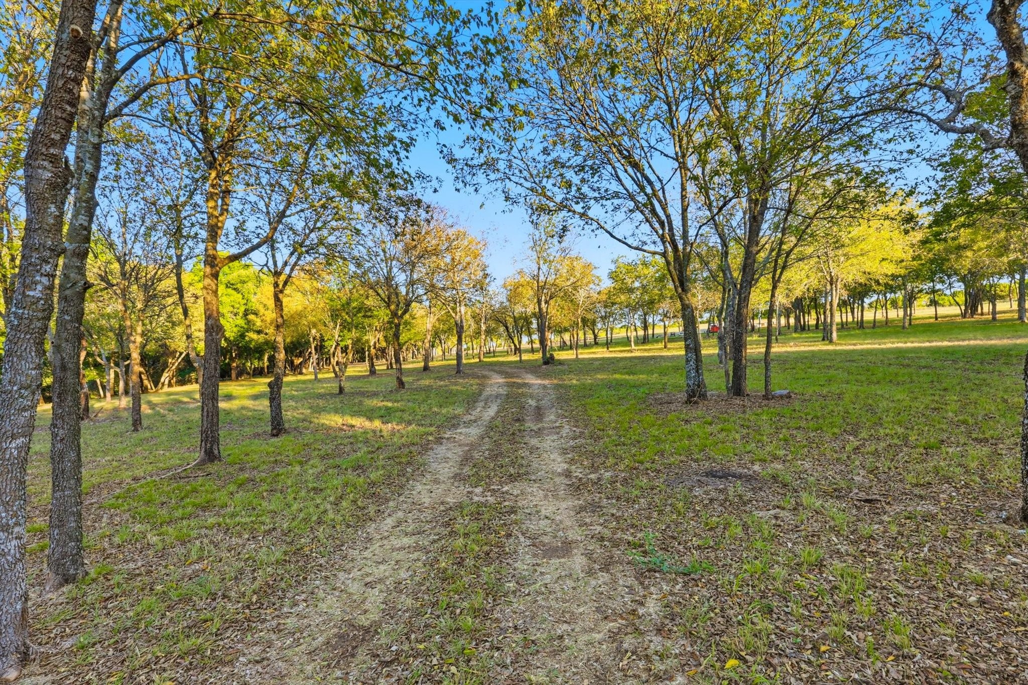 2401 Bear Creek Road