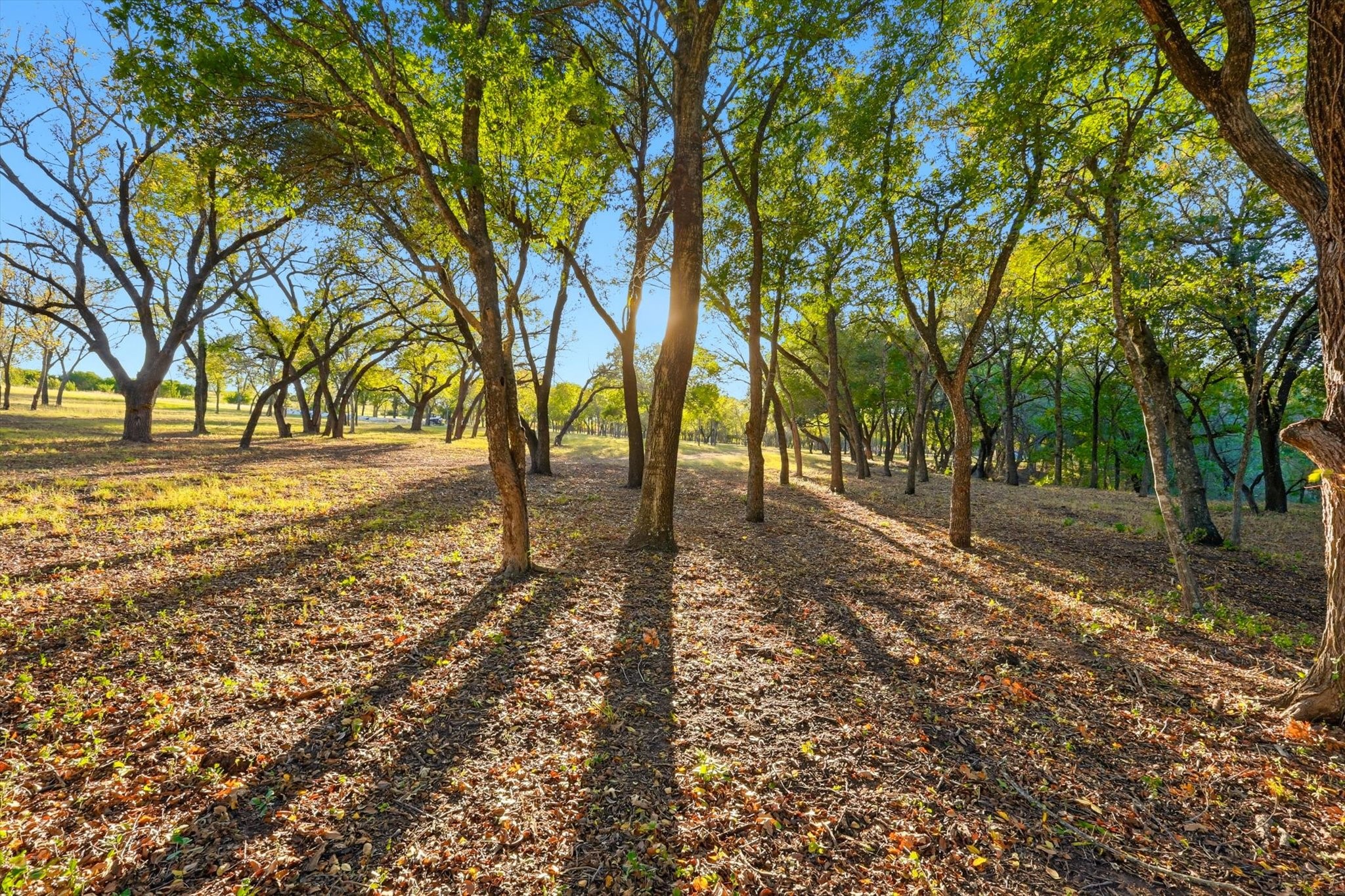 2401 Bear Creek Road