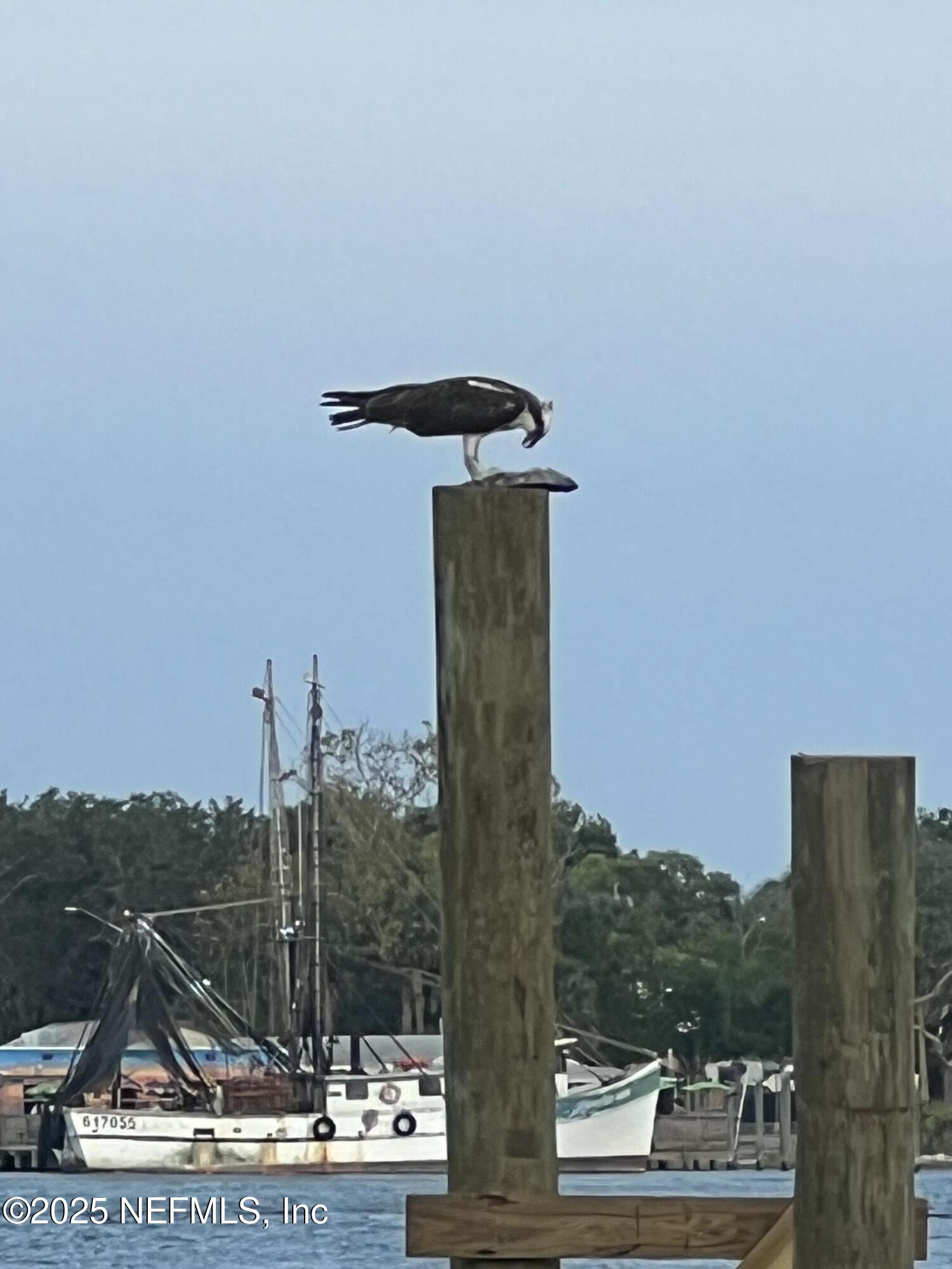 9752 HECKSCHER Drive