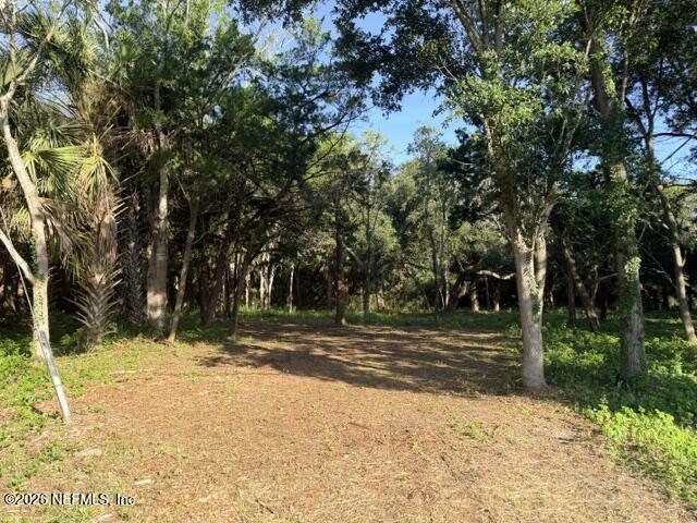 Wooded lot with an open dirt clearing surrounded by mature trees and palms.
