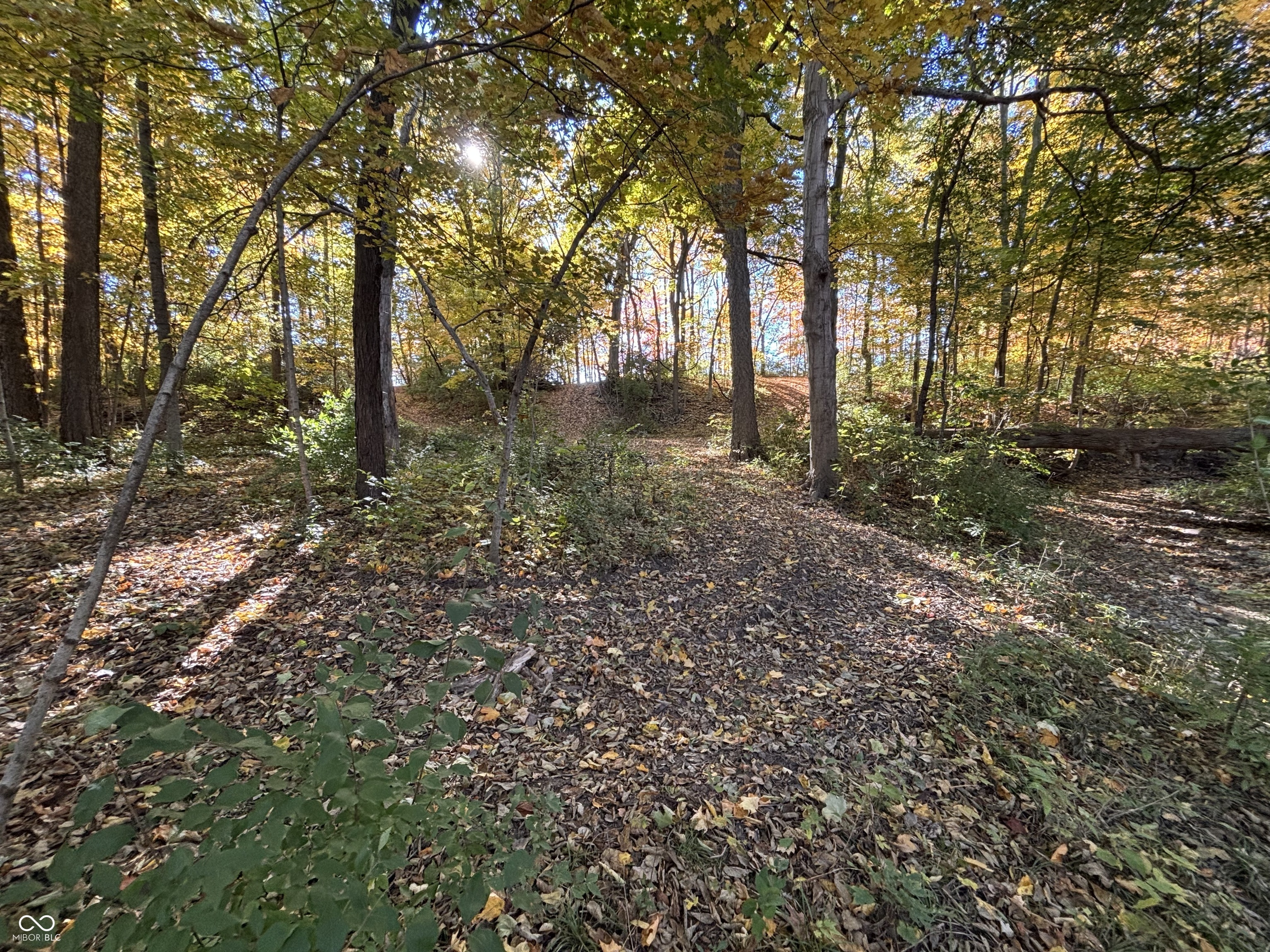 303 Countrywood Drive