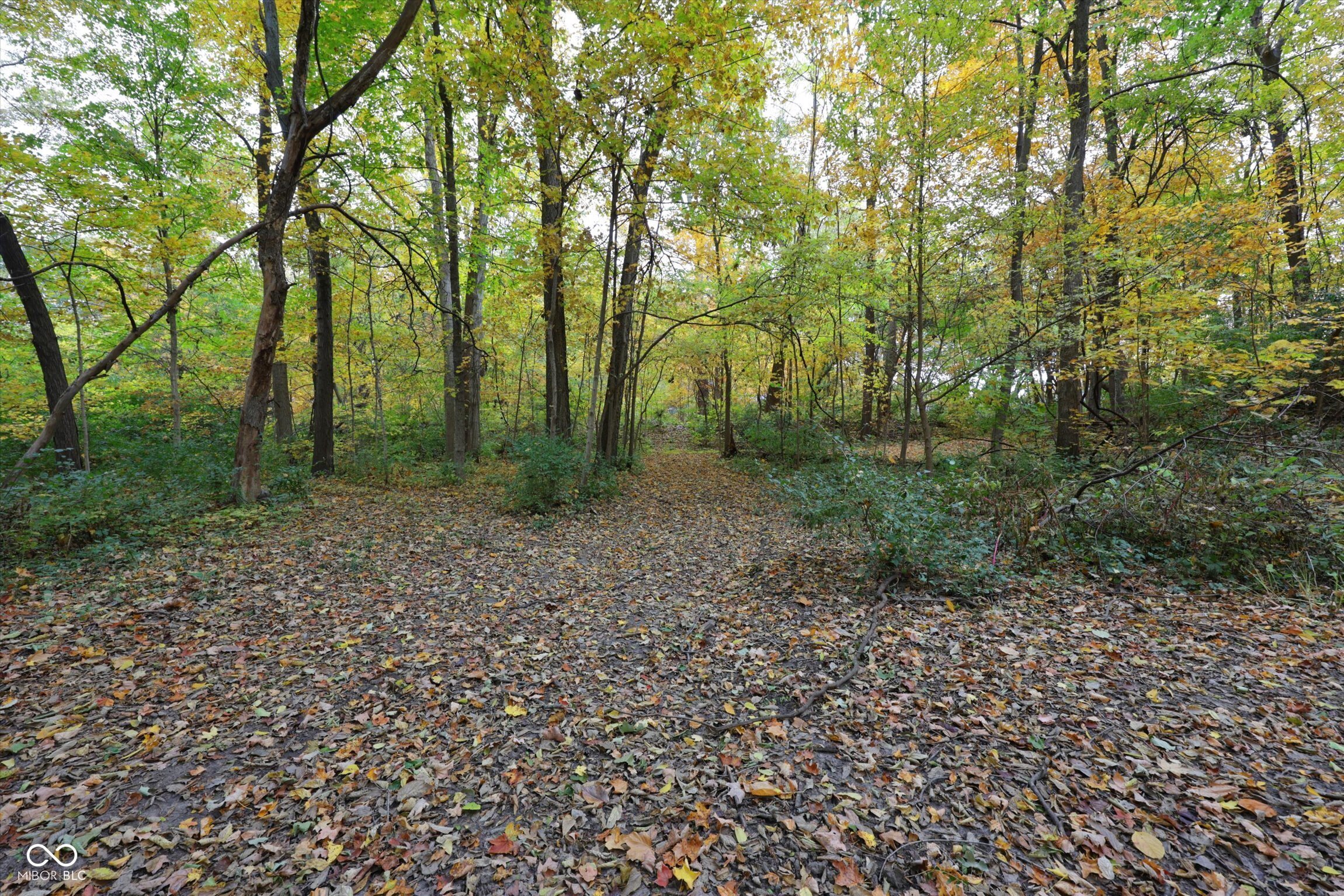 303 Countrywood Drive