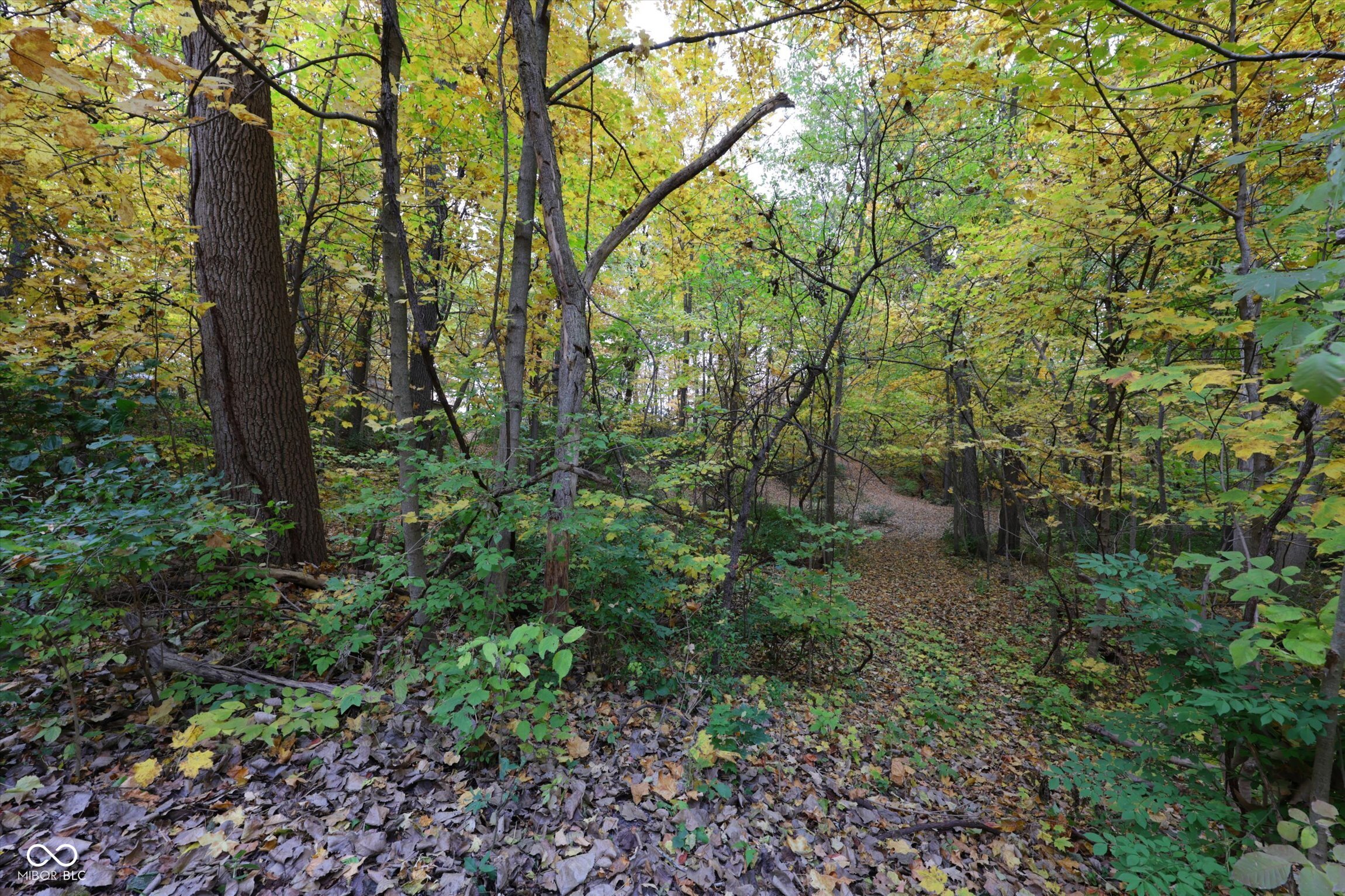 303 Countrywood Drive