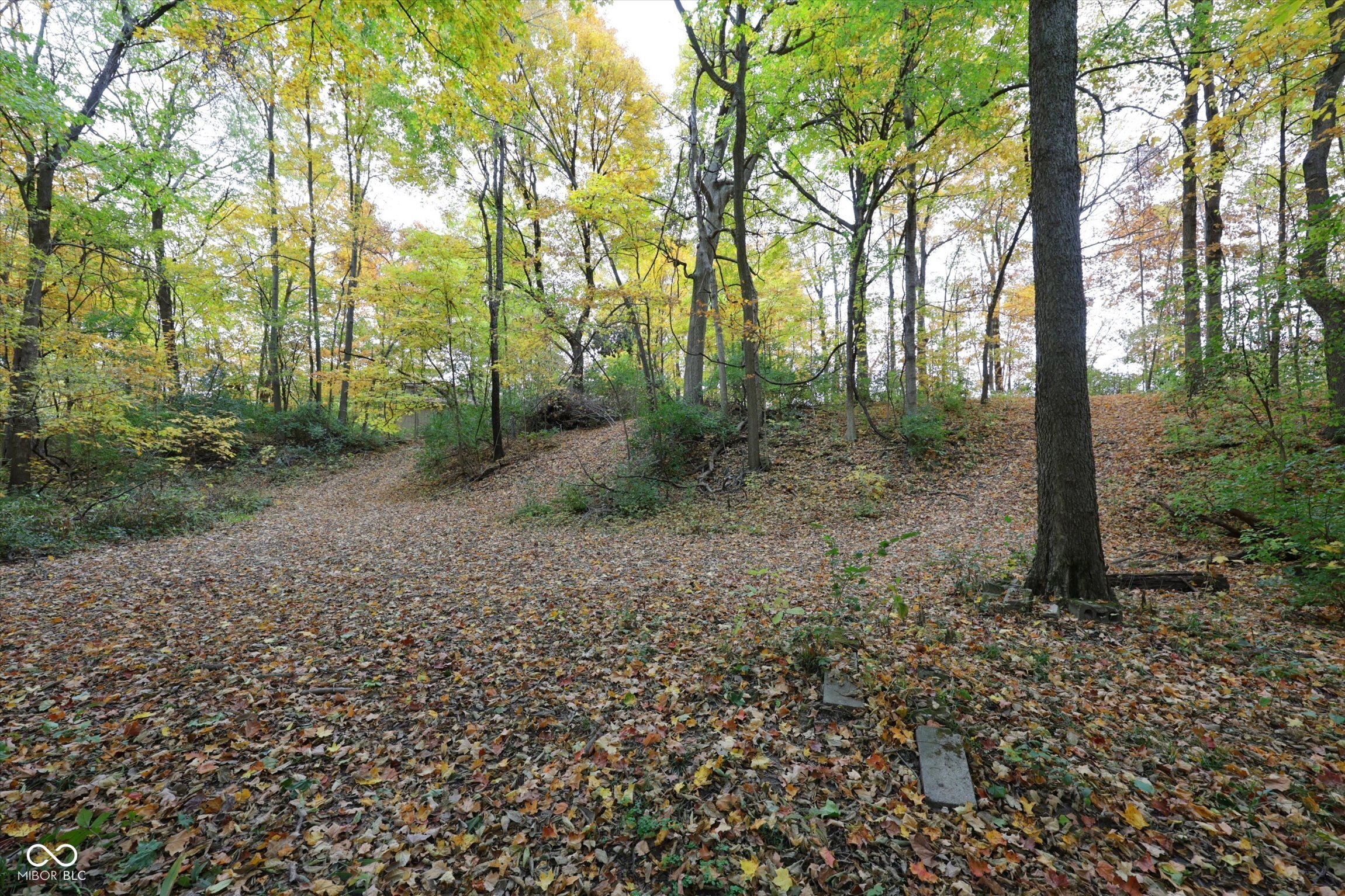 303 Countrywood Drive