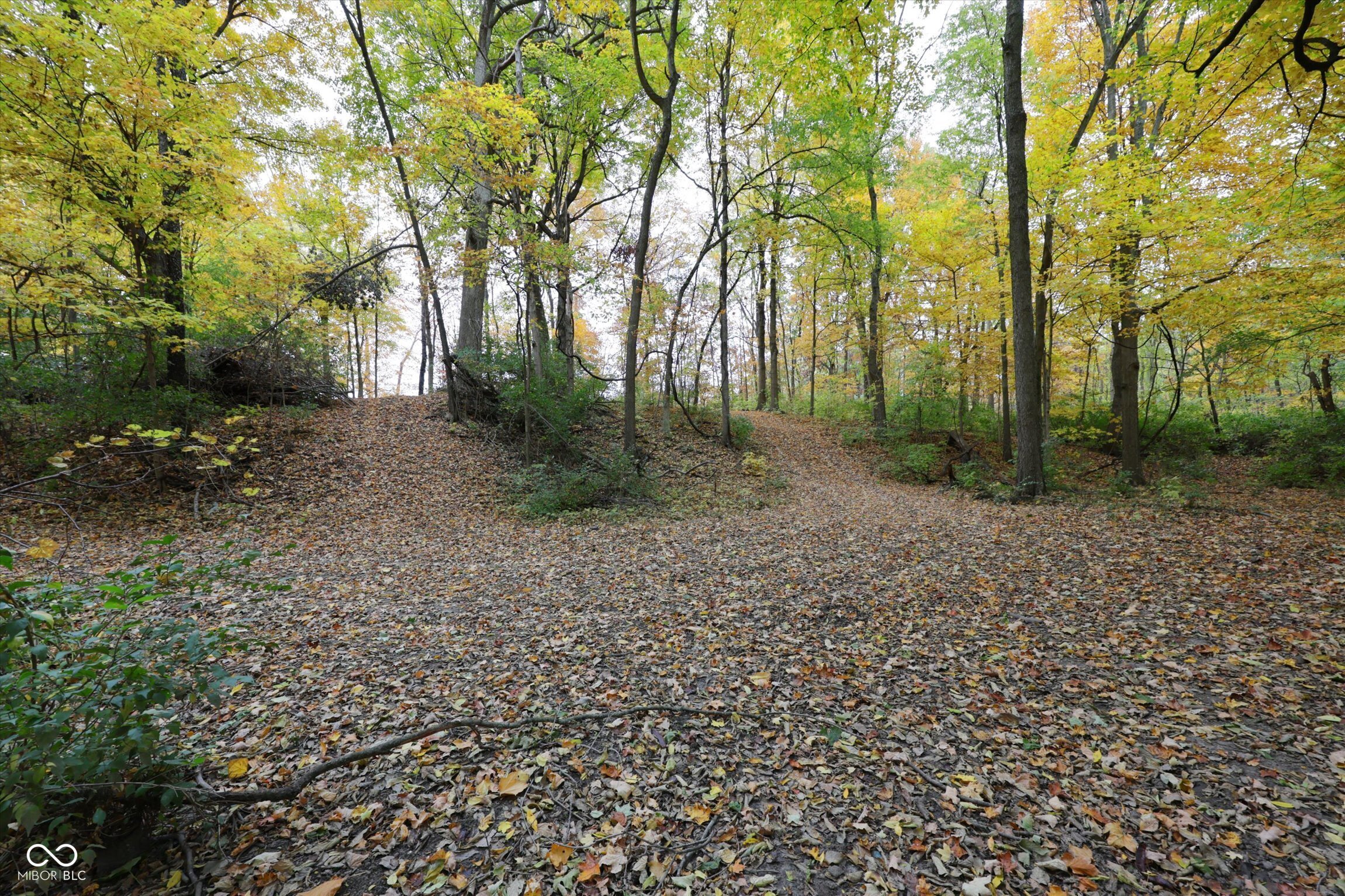 303 Countrywood Drive