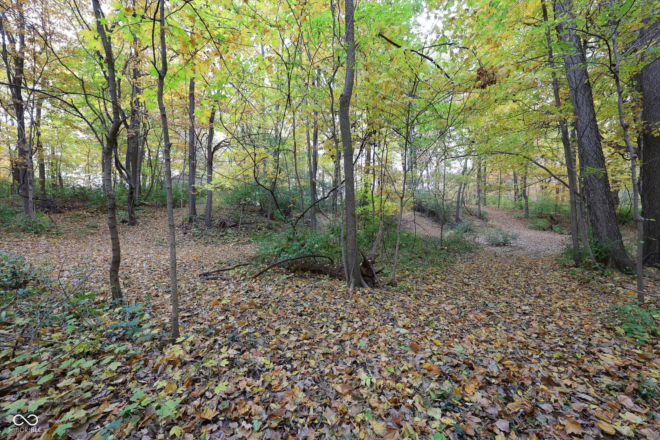 303 Countrywood Drive