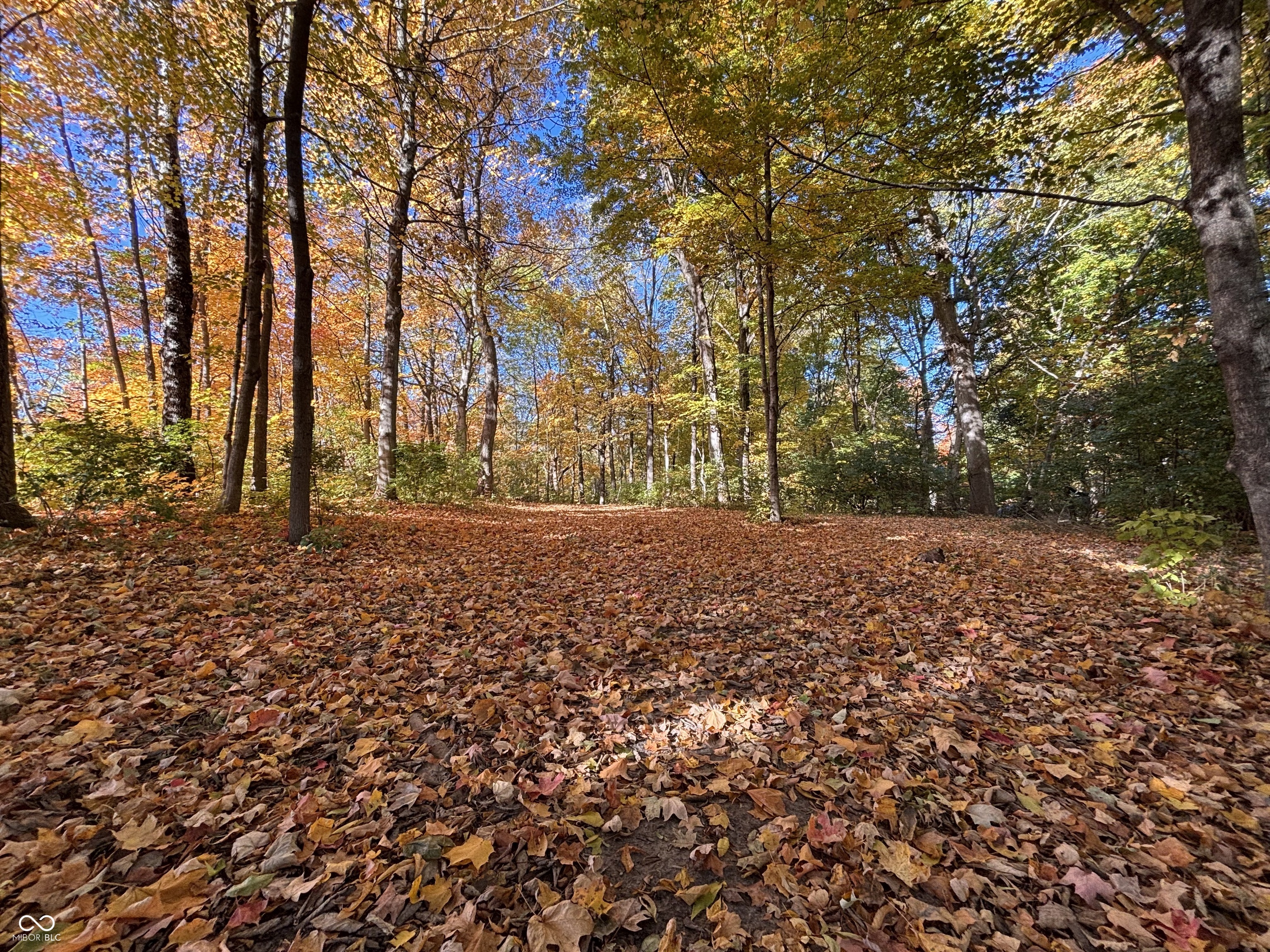 303 Countrywood Drive