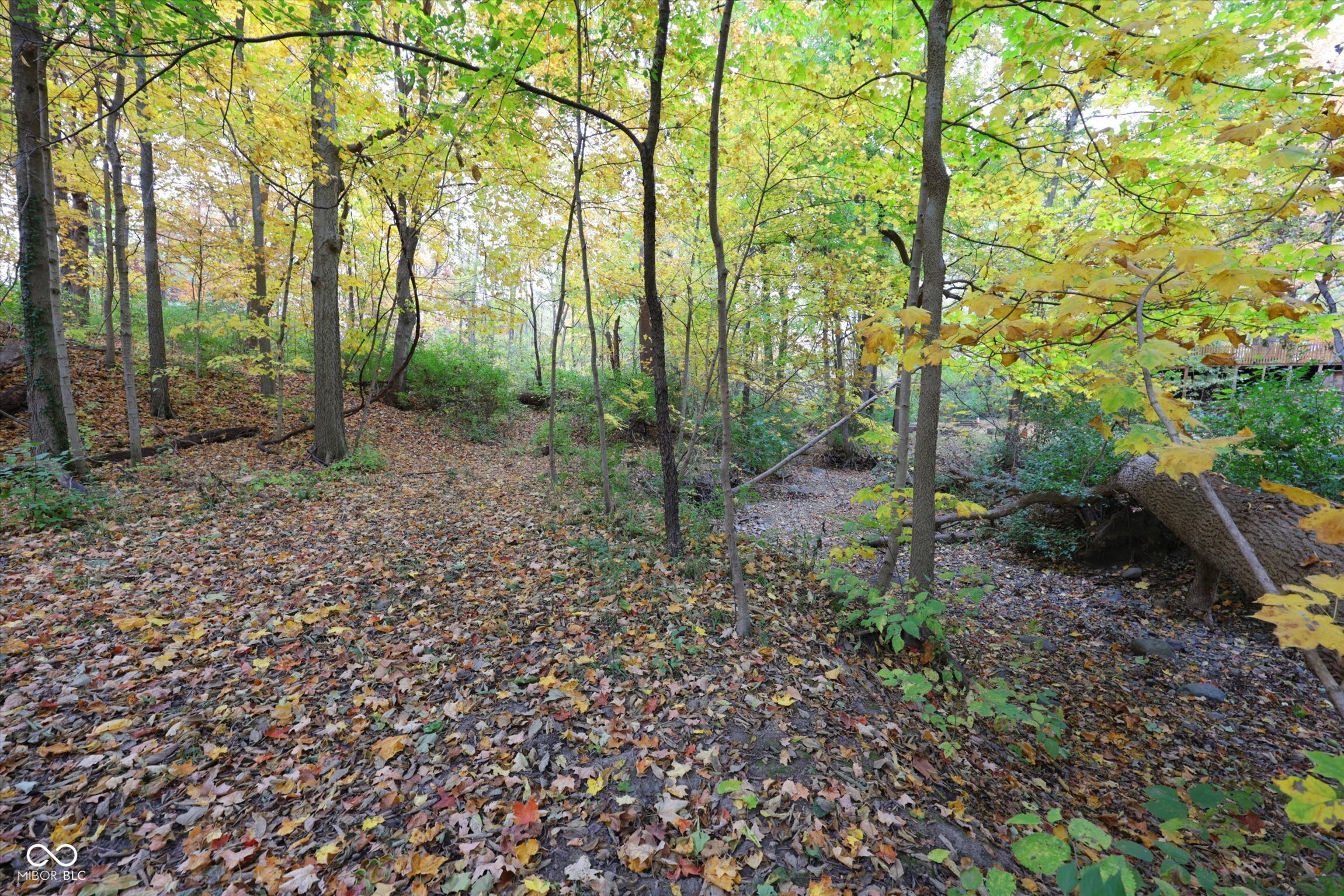 303 Countrywood Drive