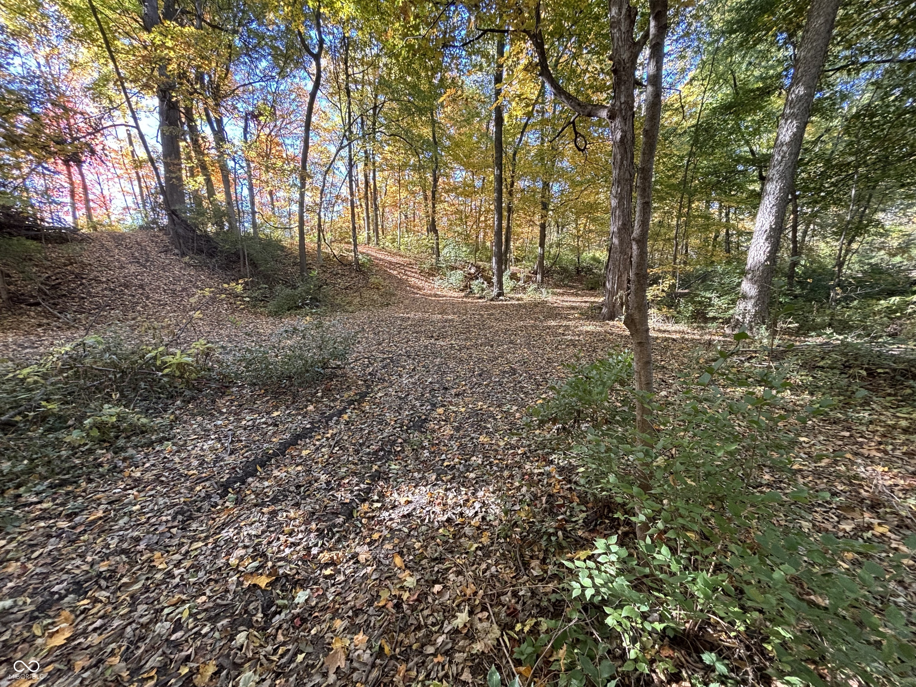 303 Countrywood Drive