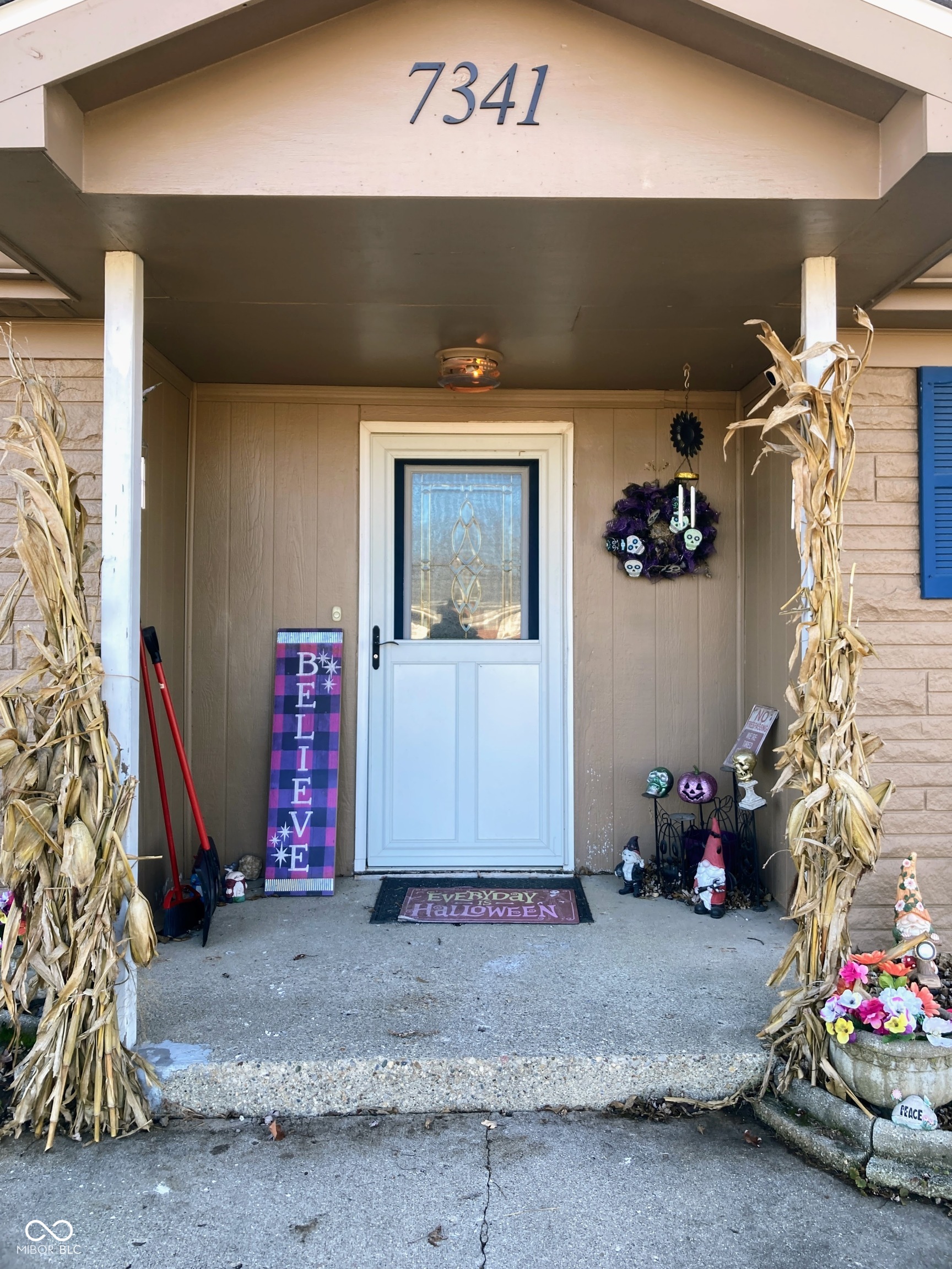7341 Buddy Lane