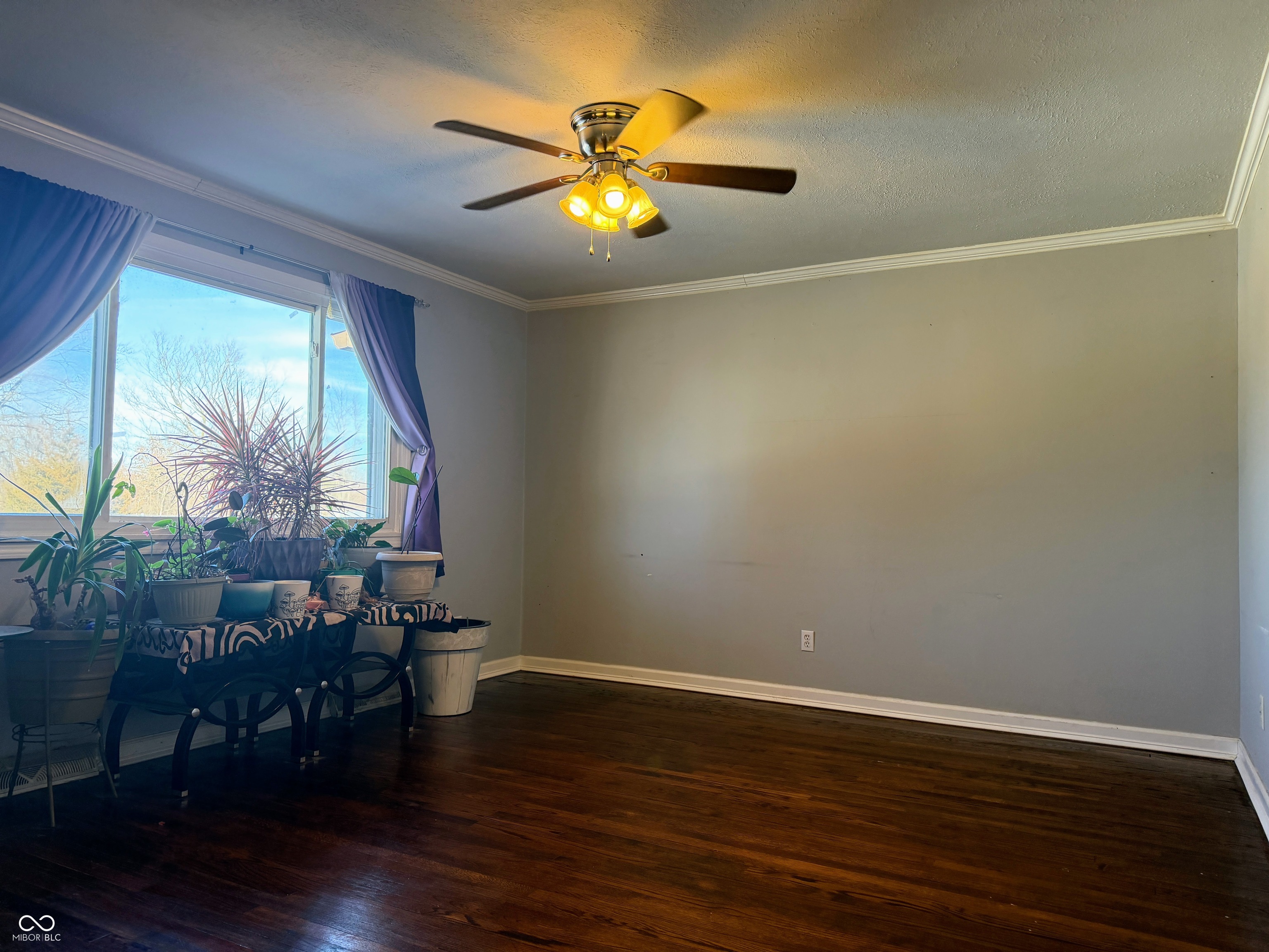7341 Buddy Lane