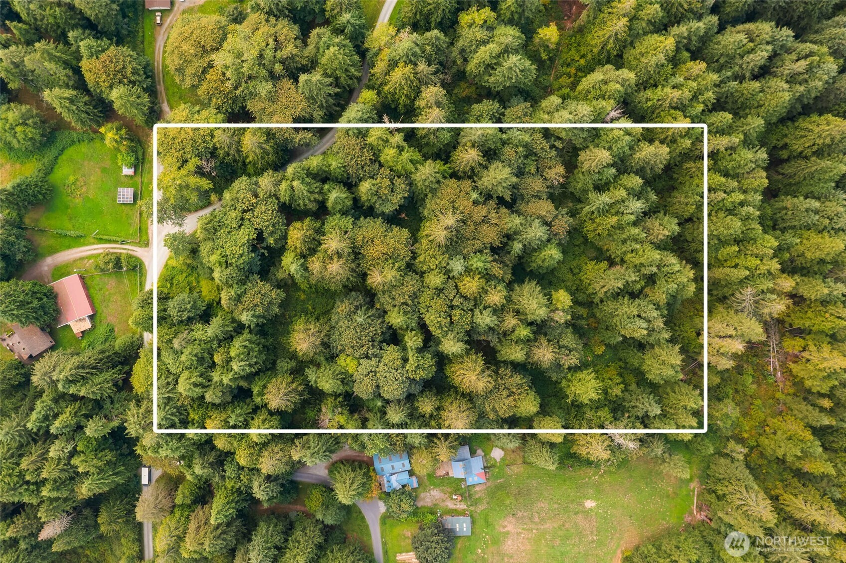 Aerial view of a heavily wooded property outlined in white, with nearby homes and lawns.