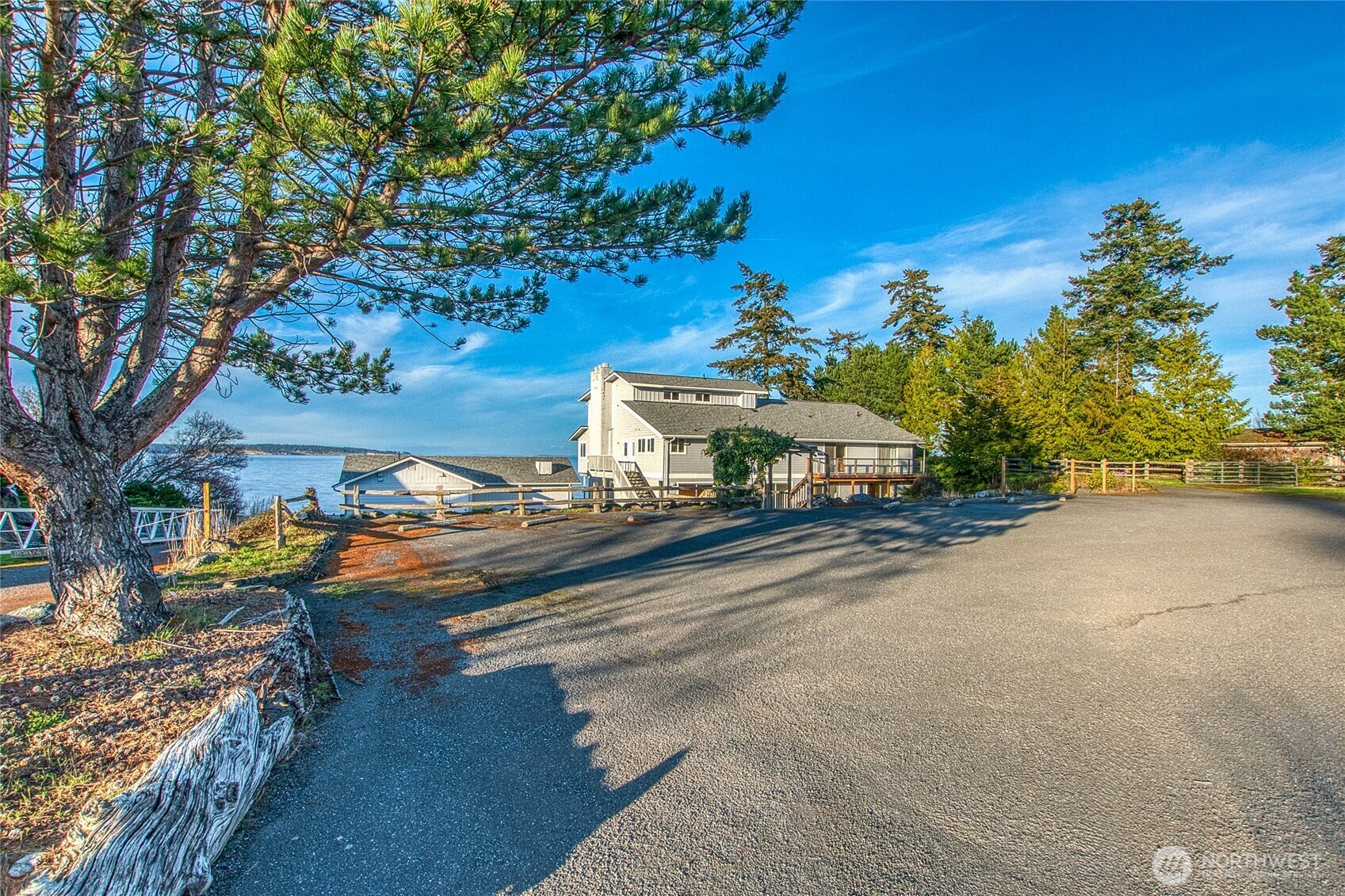 Waterfront home framed by a large pine tree, with the bay visible beside the driveway.