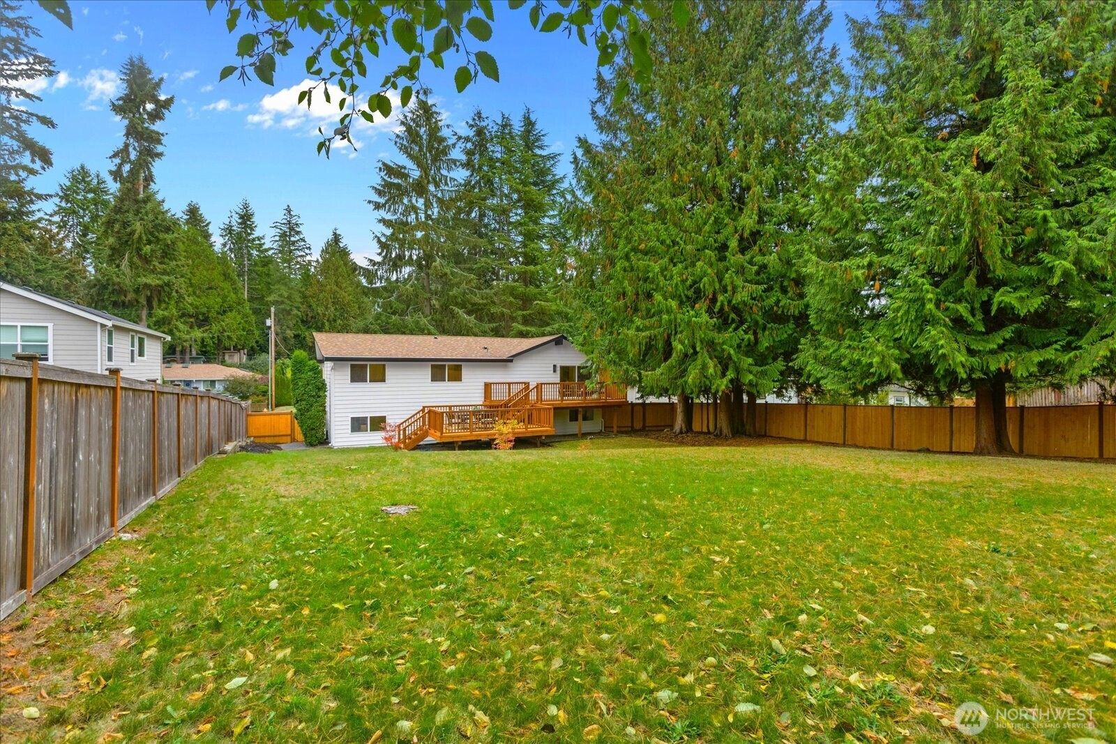 Fenced backyard with a broad lawn, raised wooden deck, and mature evergreen trees.