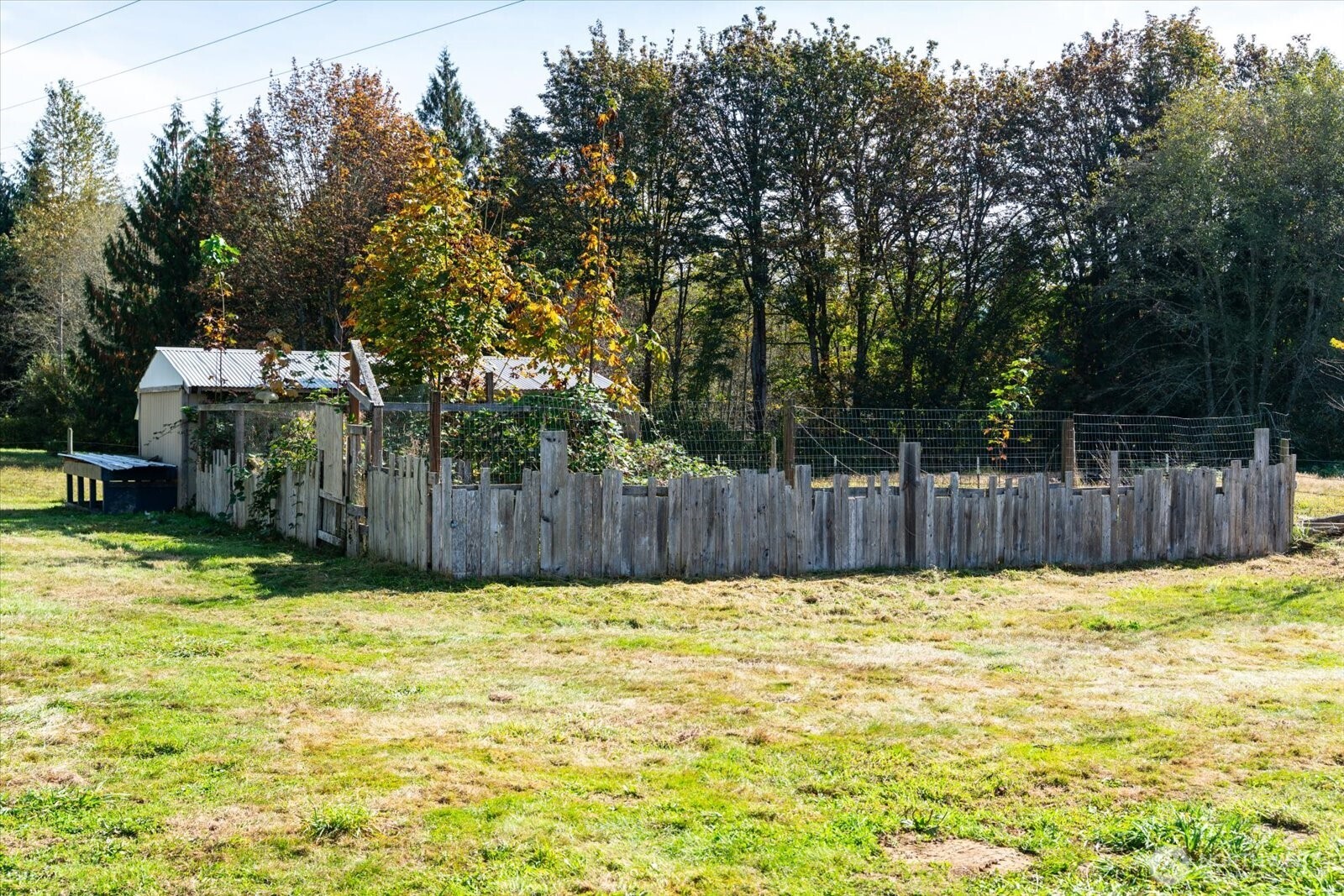 Grassy yard with a fenced garden and small outbuilding beneath autumn trees.