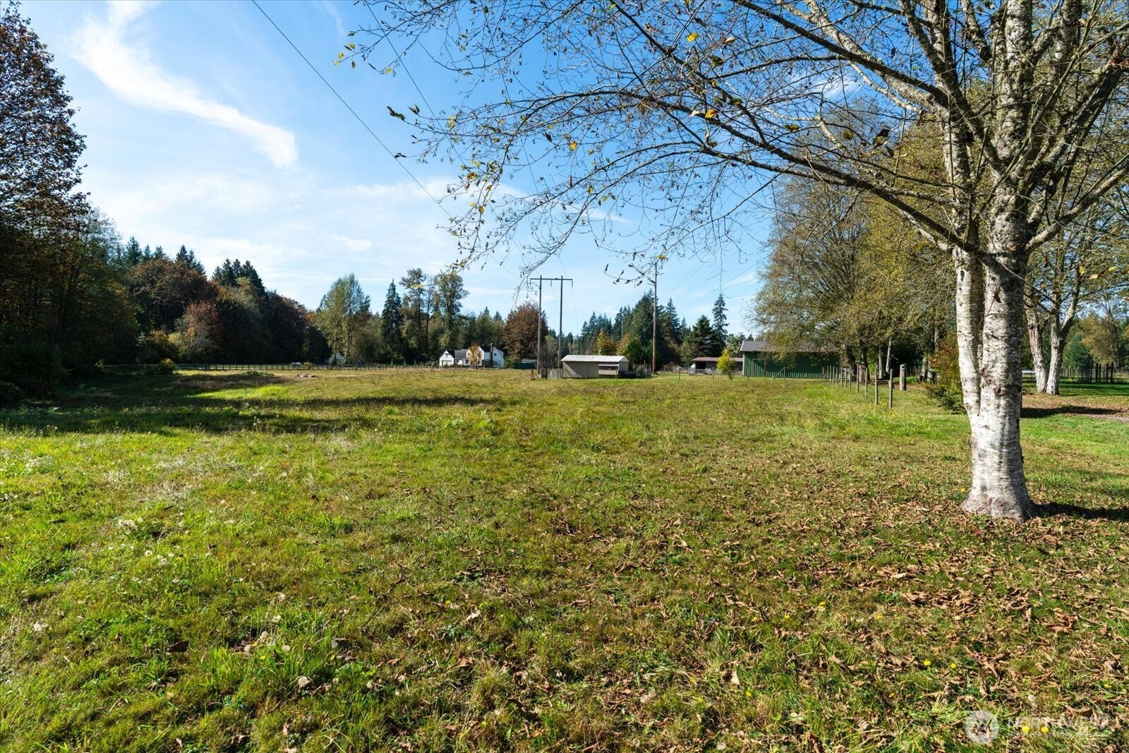Open grassy property with mature trees and outbuildings in the distance.