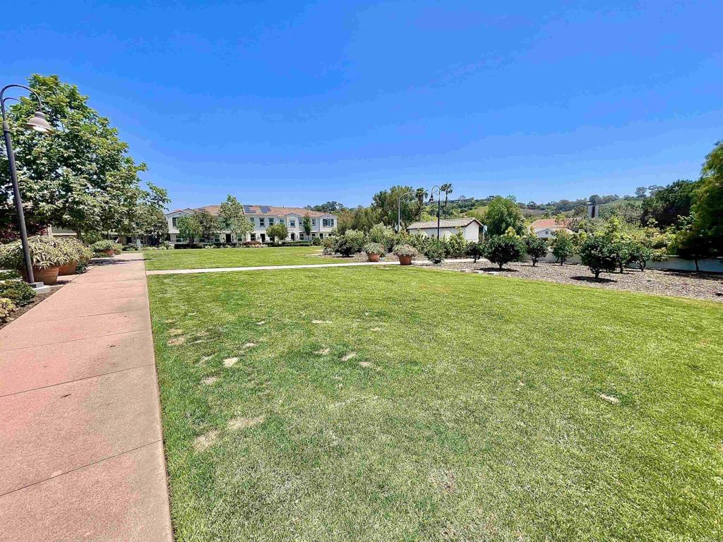 4203 Calle Del Vista