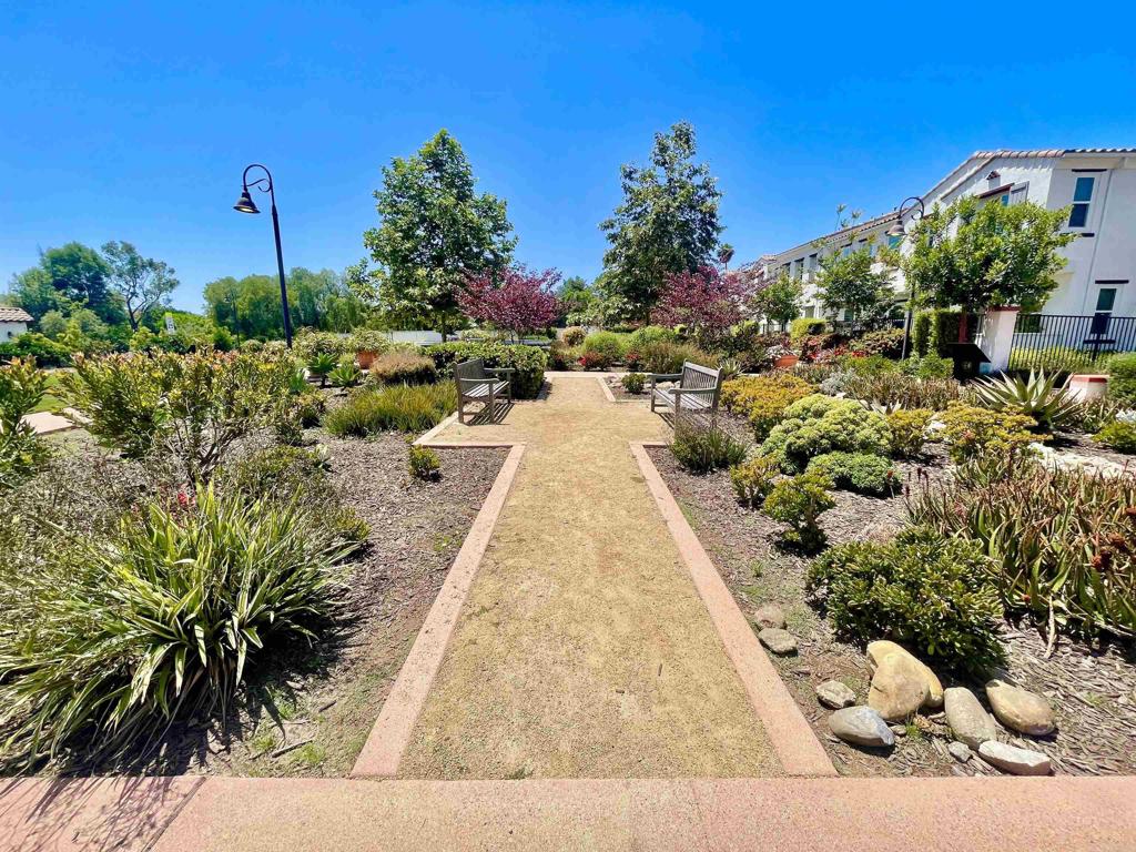 4203 Calle Del Vista