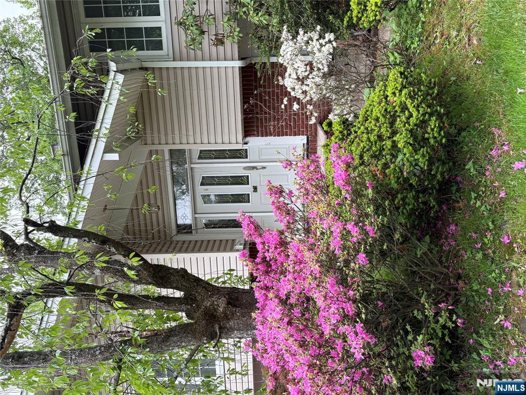 975 Woodland Avenue