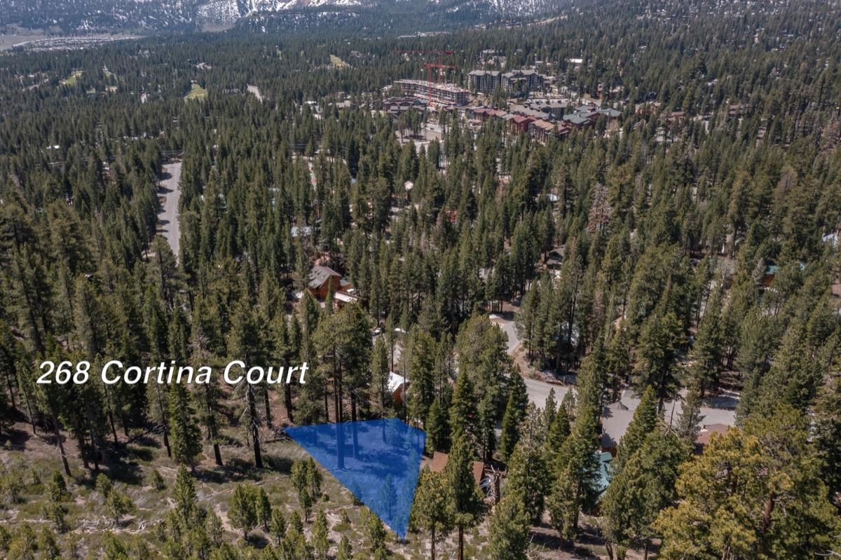 268 Cortina Ct