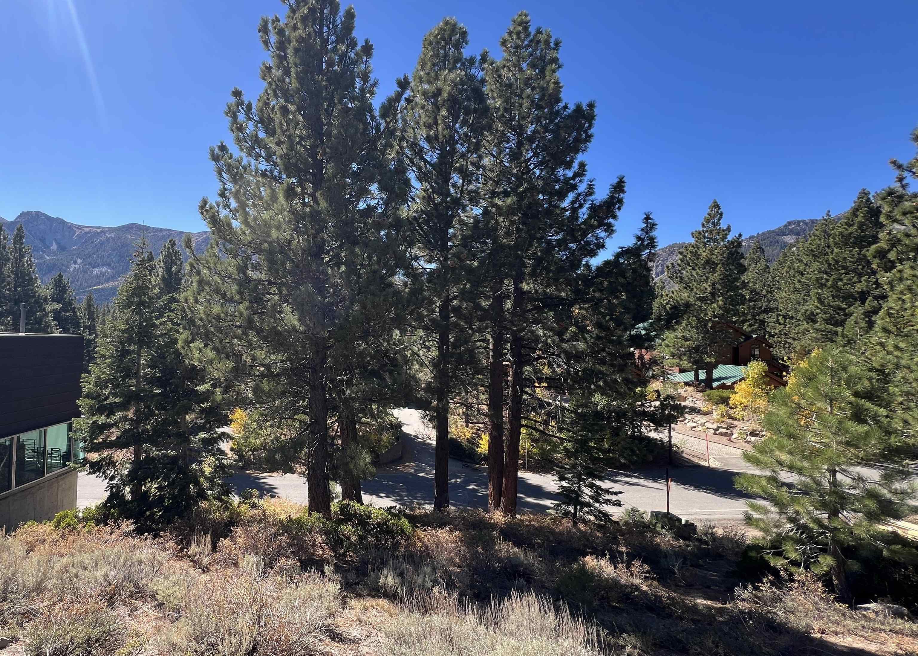 572 Majestic Pines Dr.