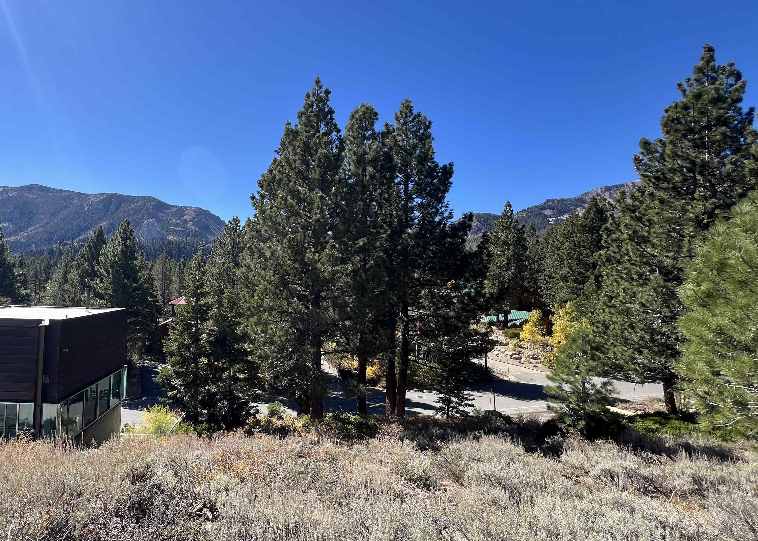 572 Majestic Pines Dr.