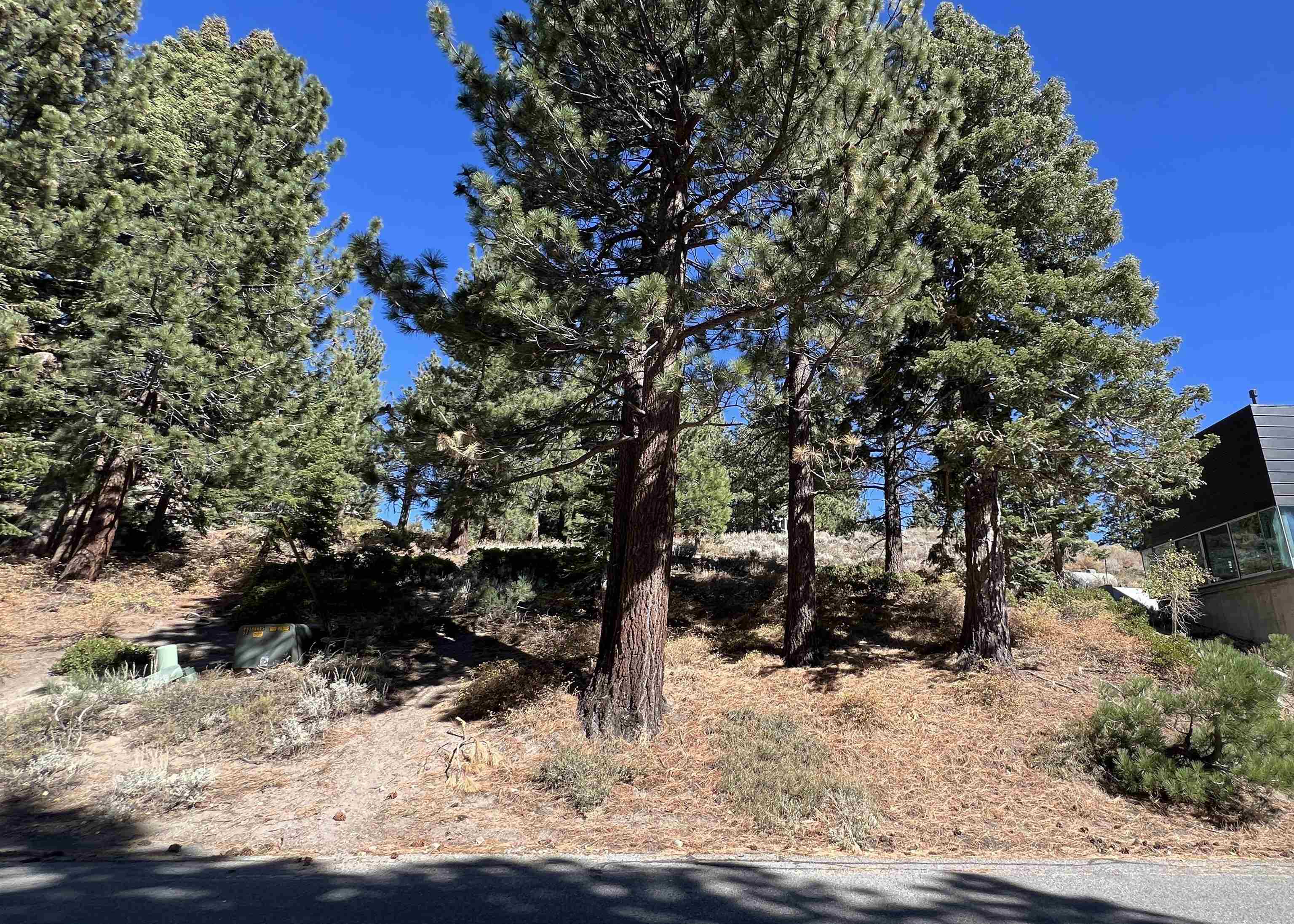 572 Majestic Pines Dr.