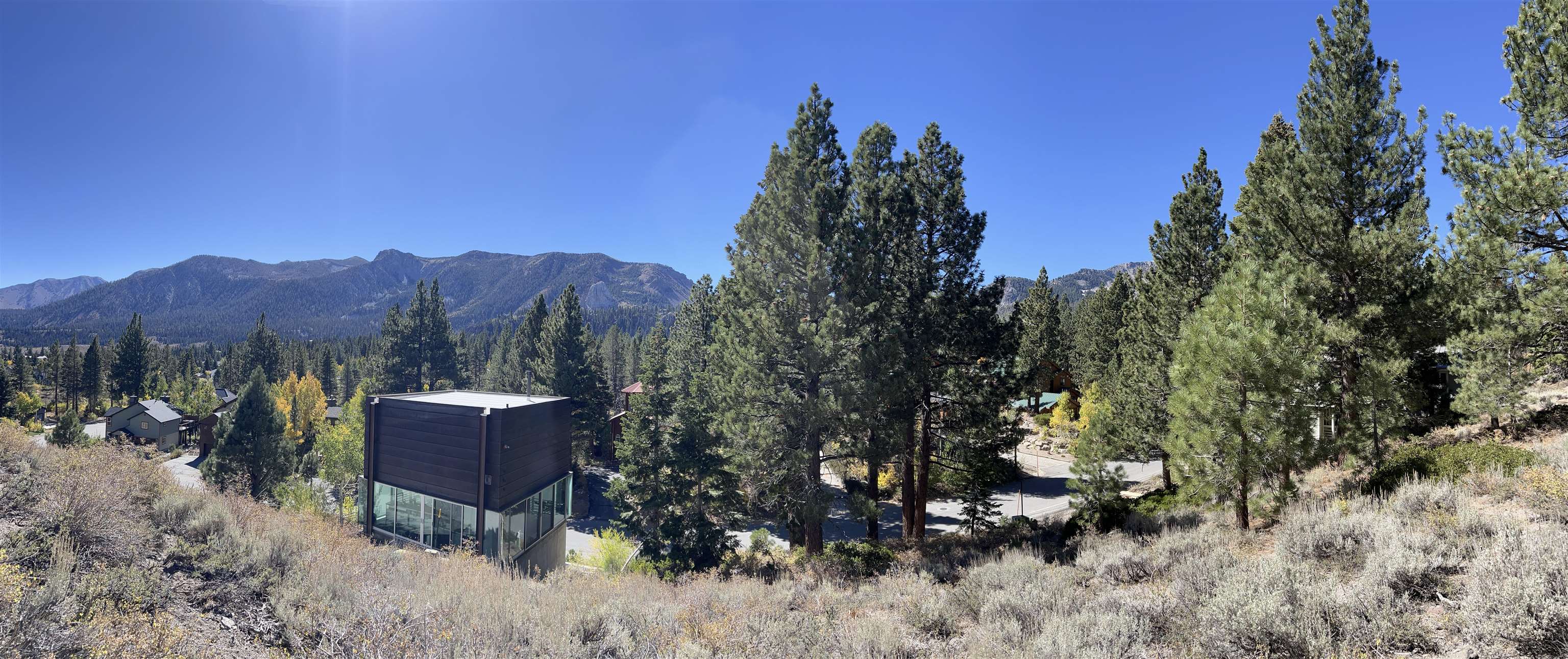 572 Majestic Pines Dr.