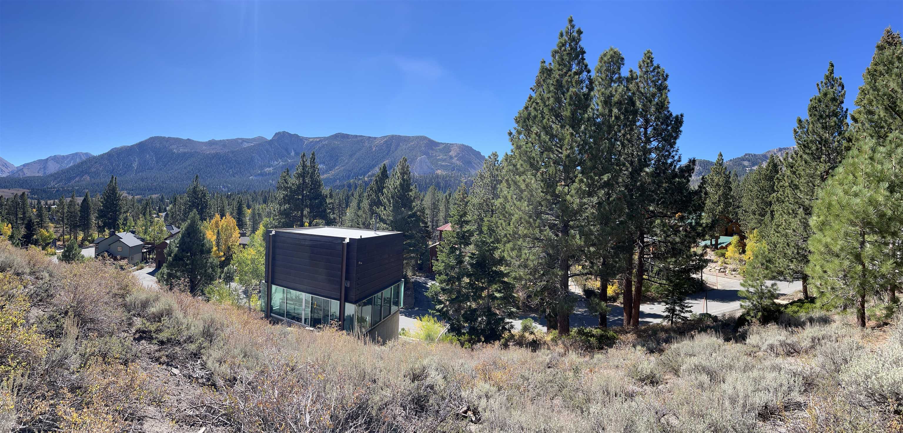 572 Majestic Pines Dr.