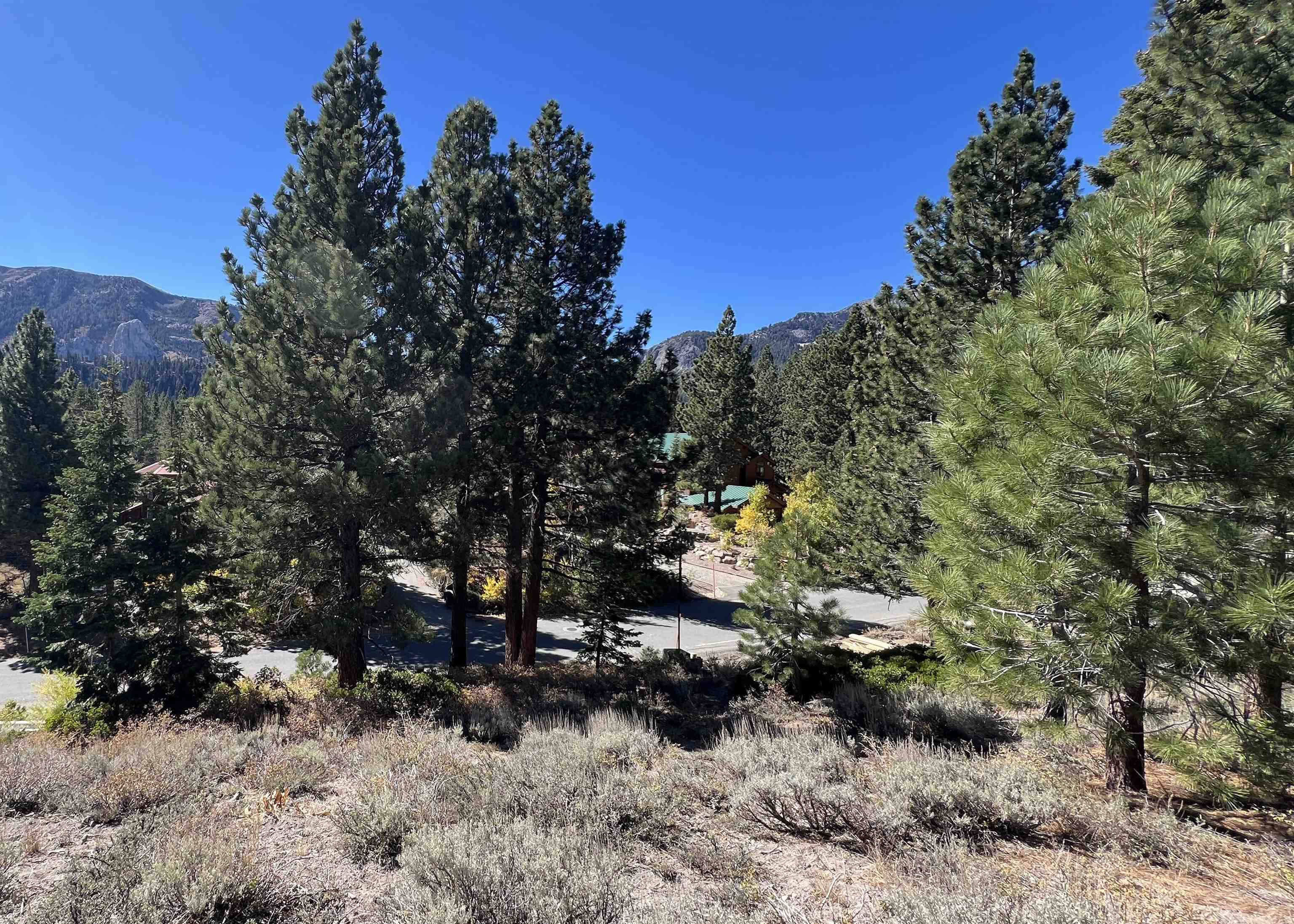 572 Majestic Pines Dr.