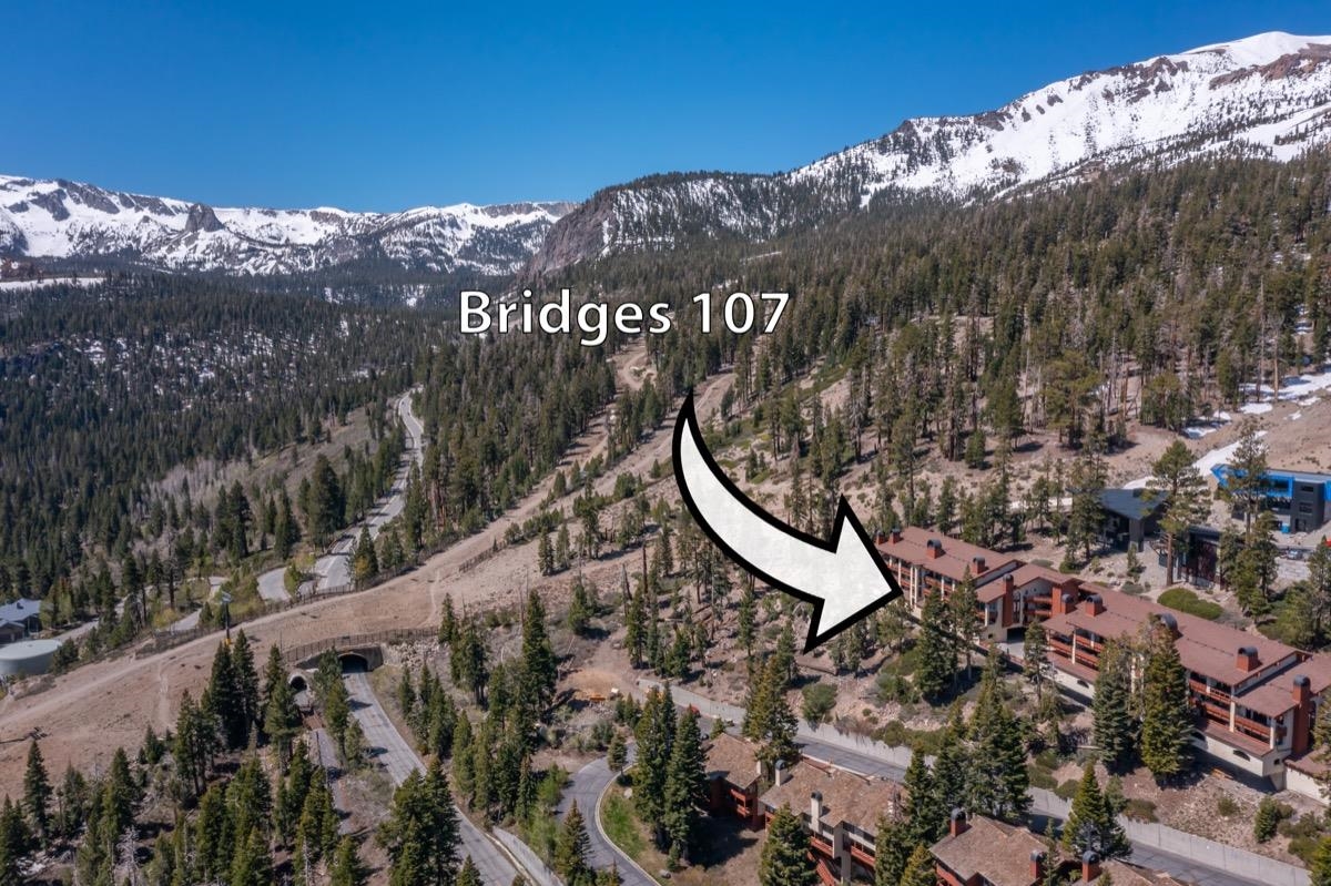 20 Bridges Ln #107
