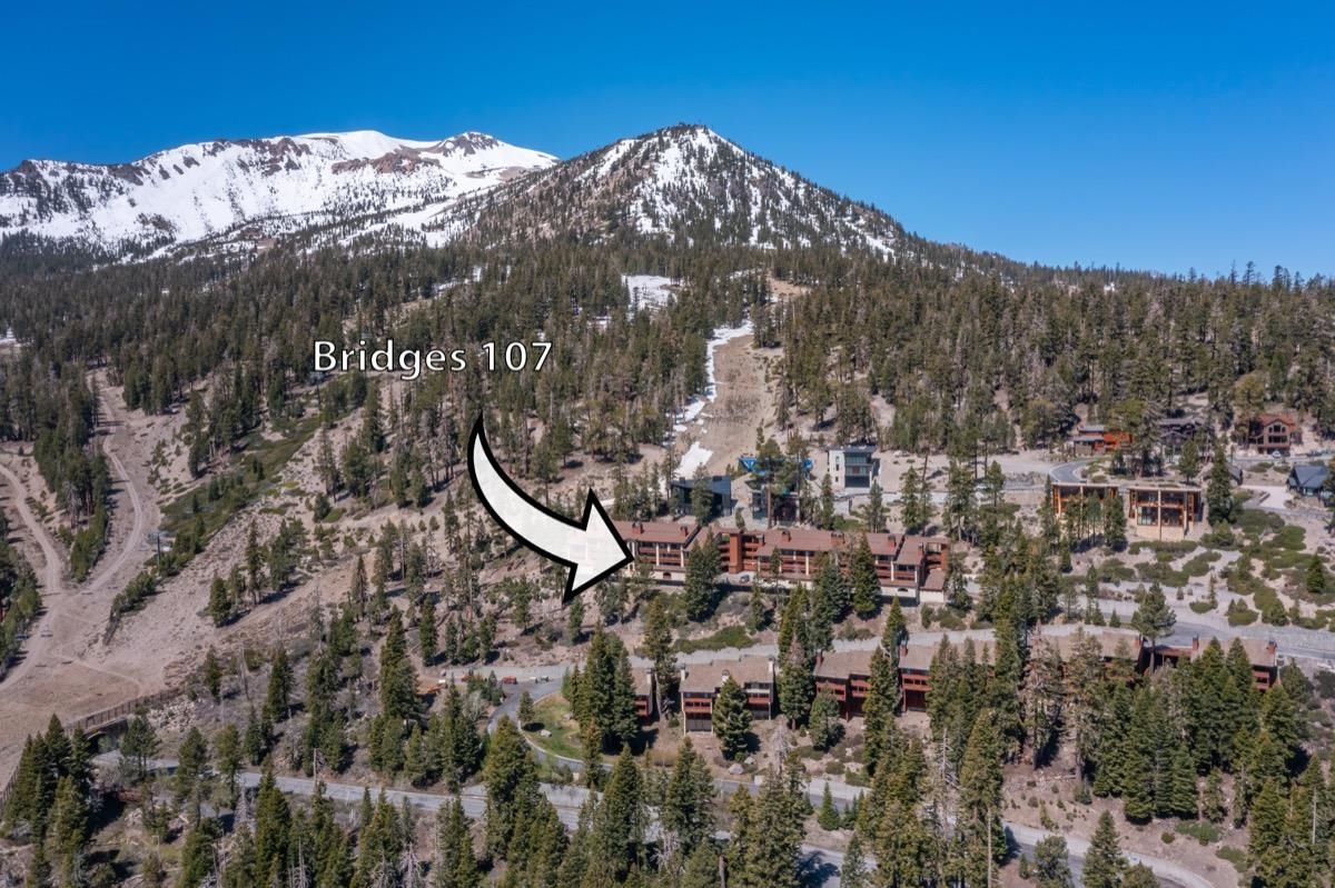 20 Bridges Ln #107