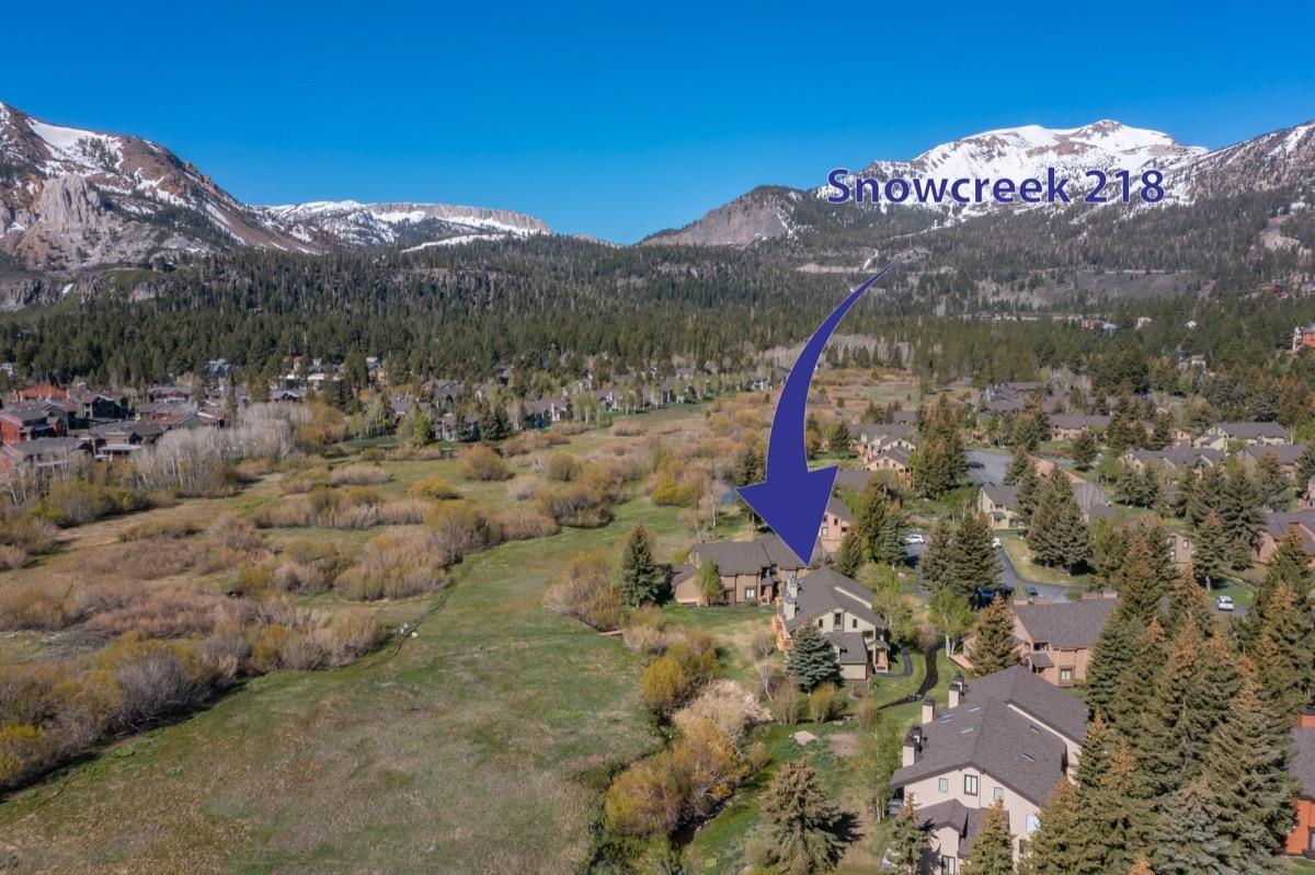 218 Solitude Unit: Snowcreek II 218