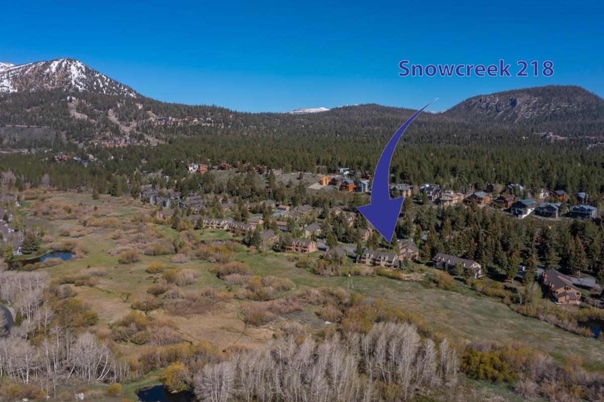 218 Solitude Unit: Snowcreek II 218