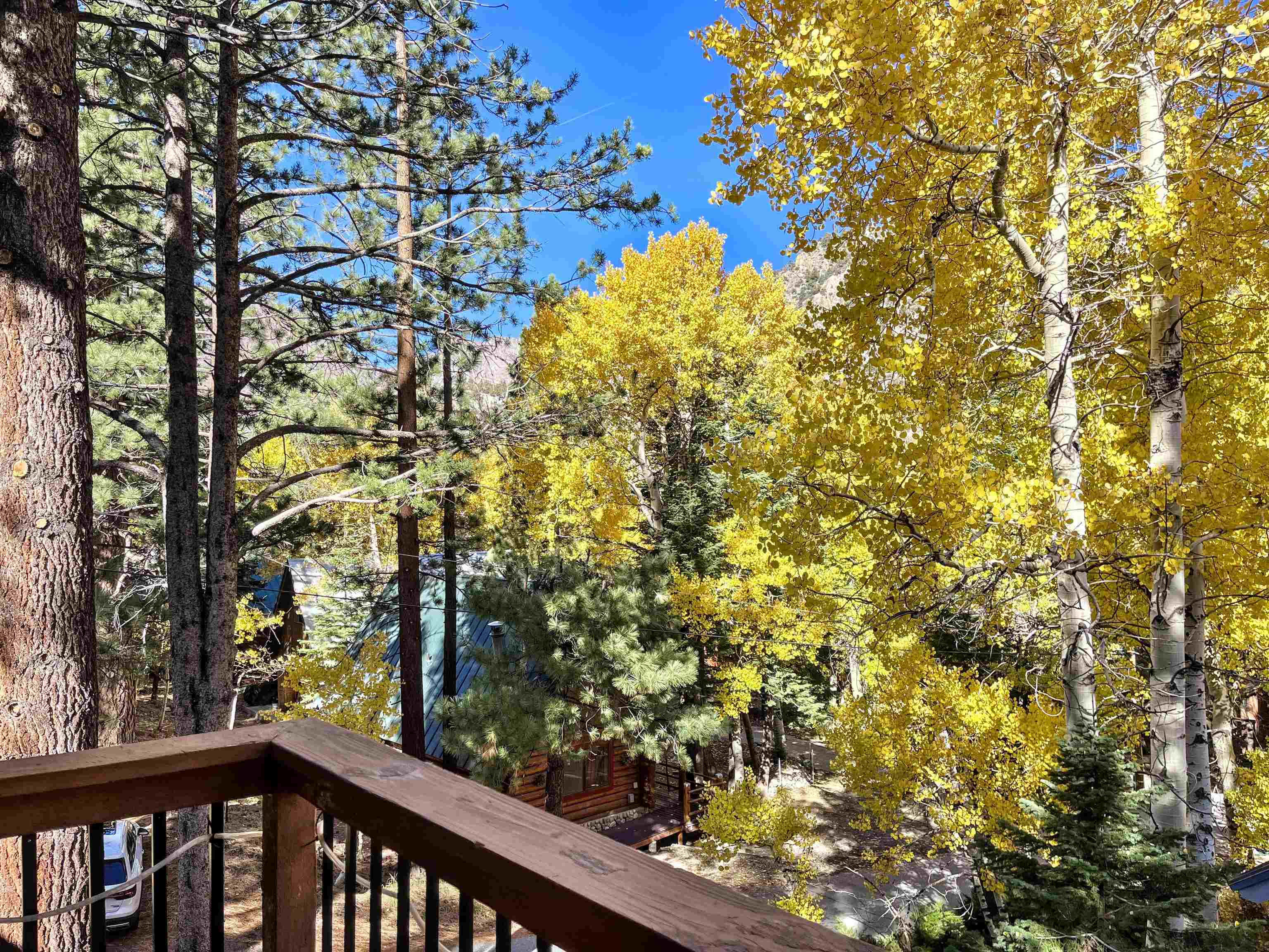 181 Rainbow Street Unit: 20