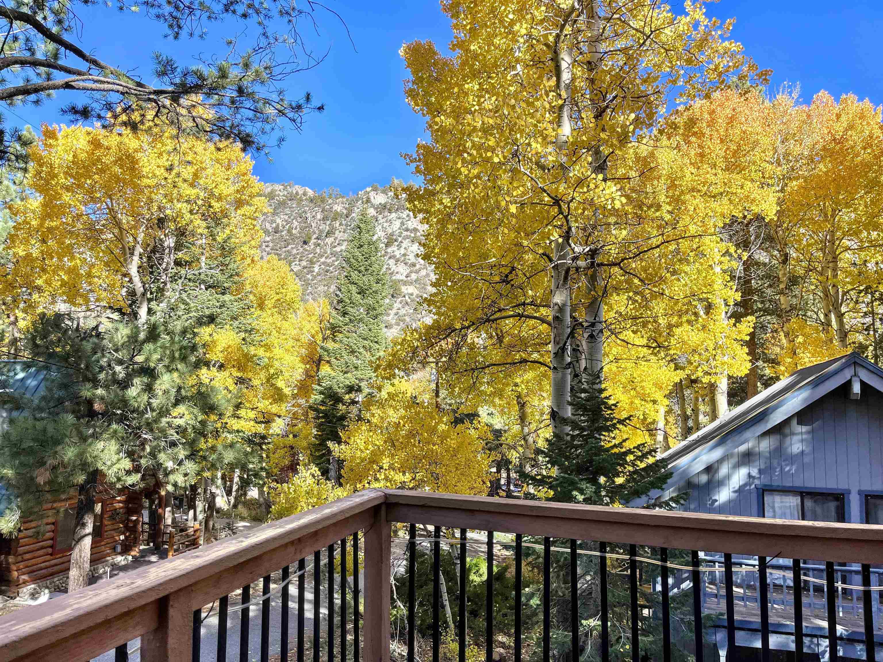 181 Rainbow Street Unit: 20