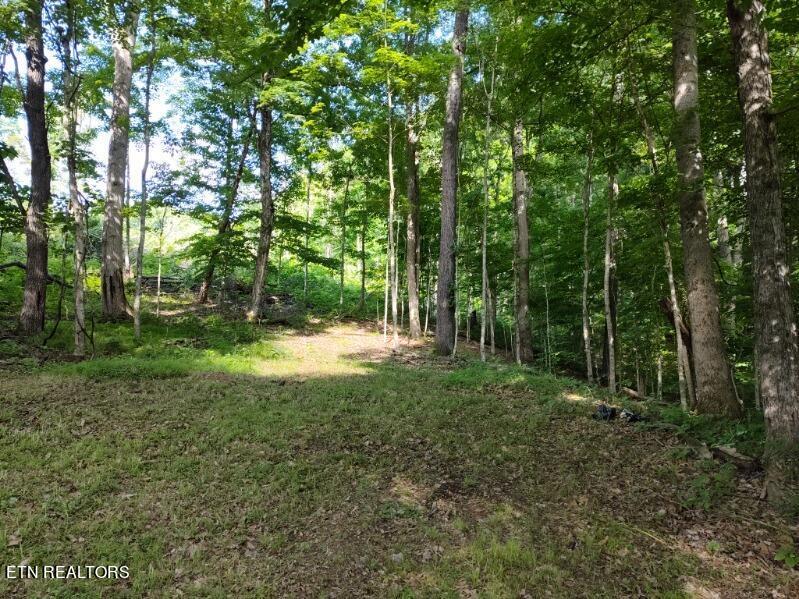 2424 Kidwell Ridge Rd