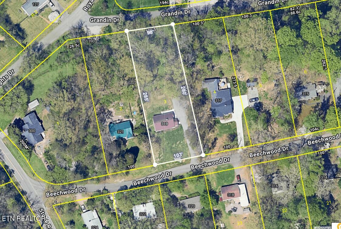 319 Beechwood Drive