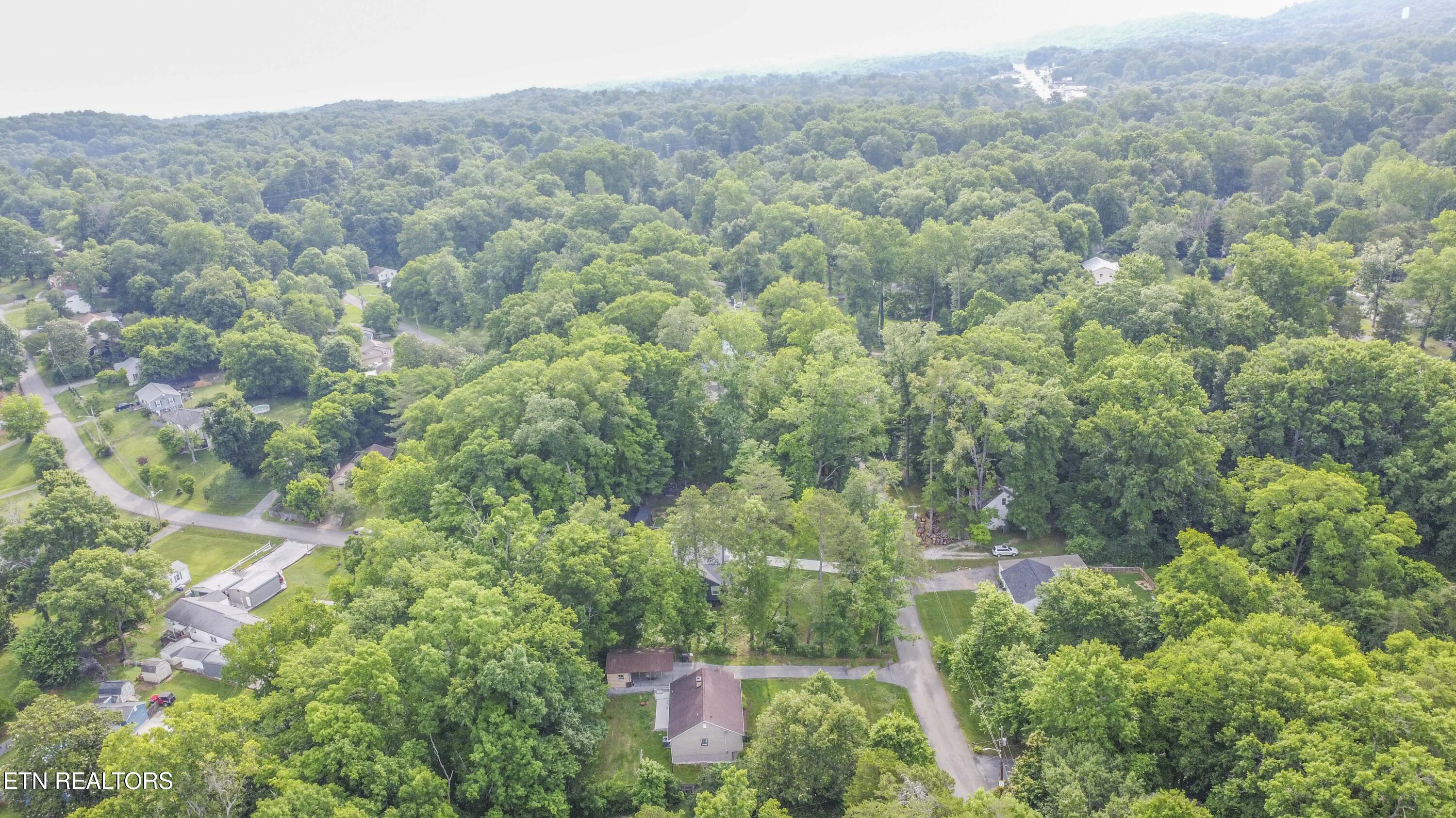 319 Beechwood Drive