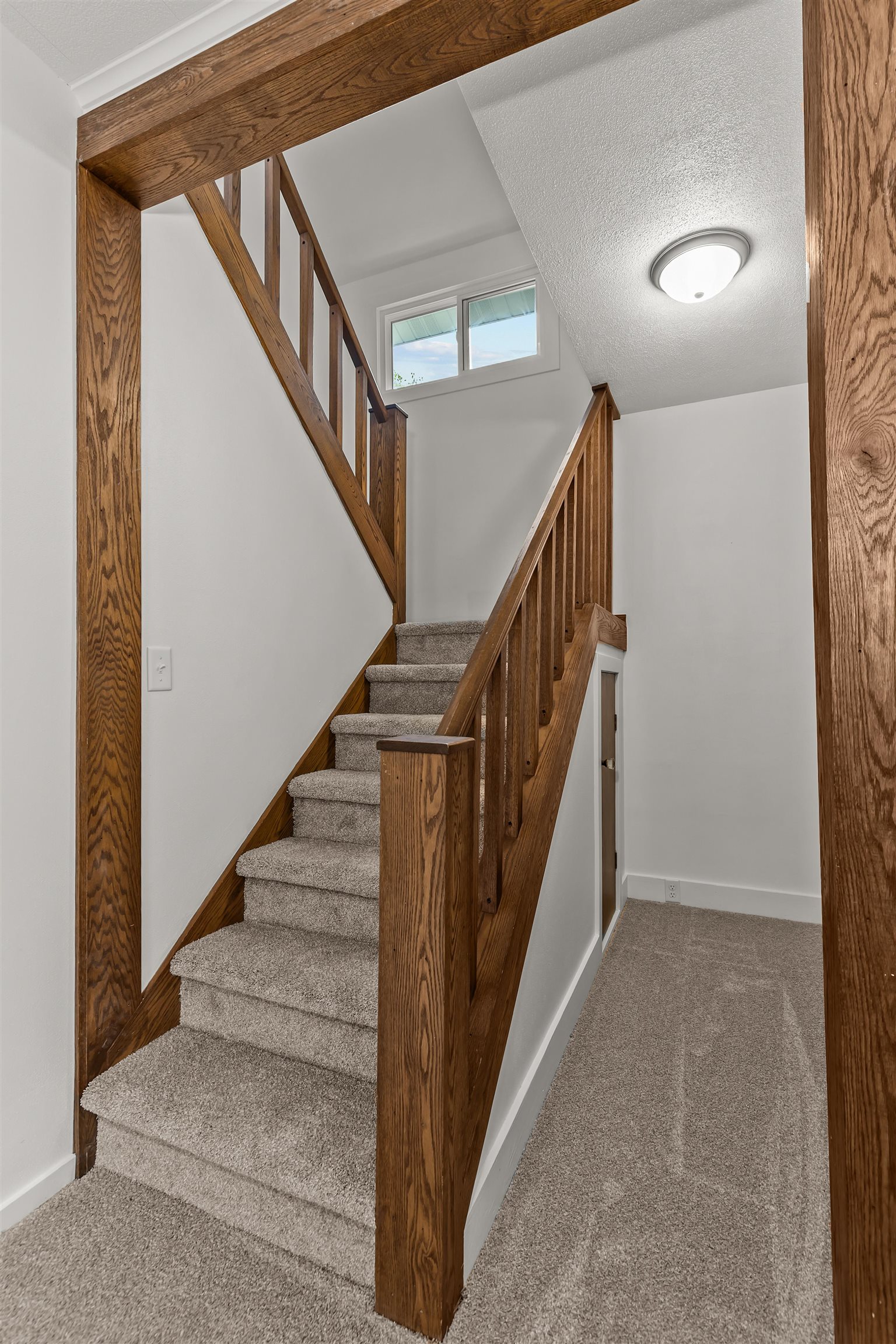 926 DOVE Street