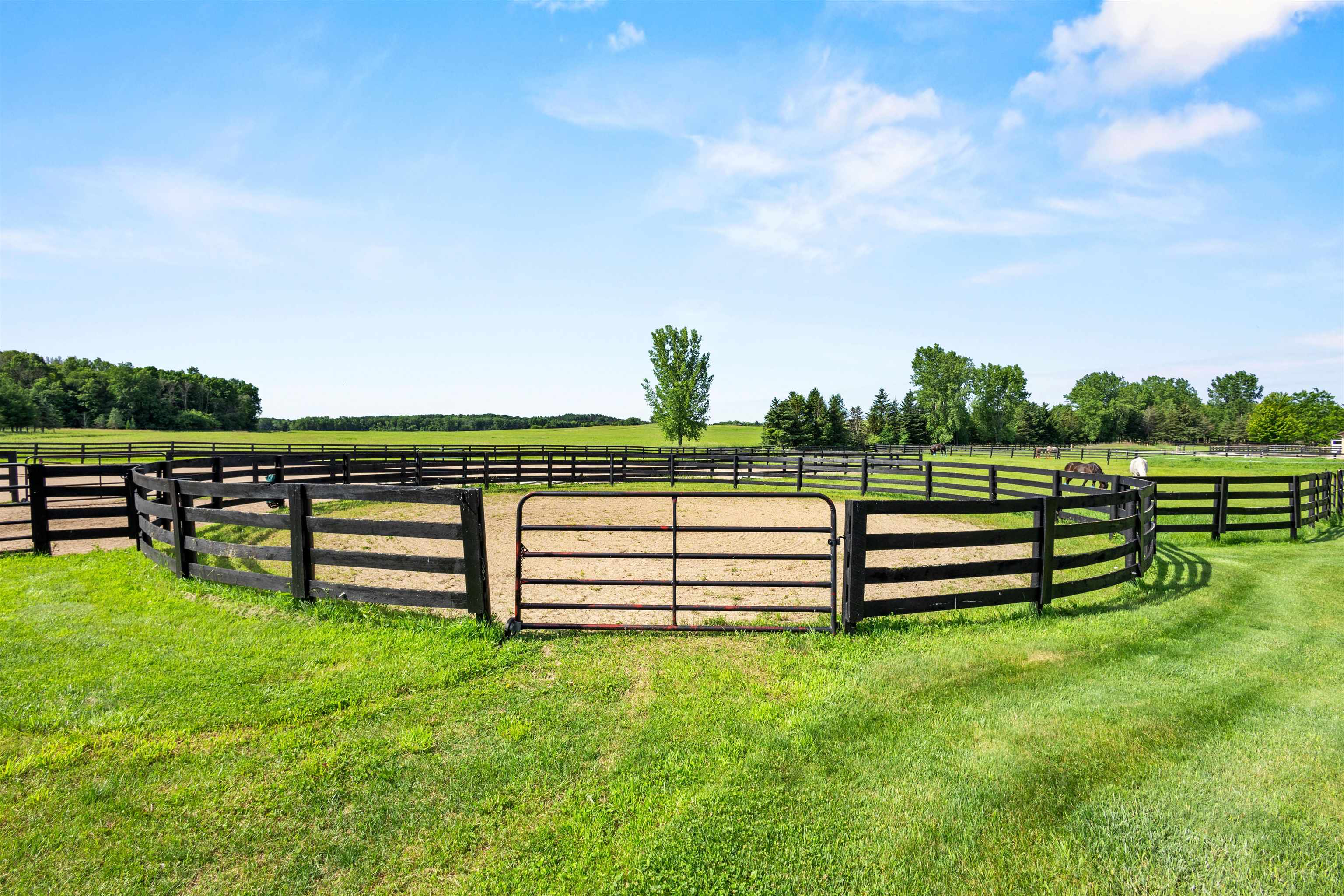 W3493 EQUESTRIAN Trail