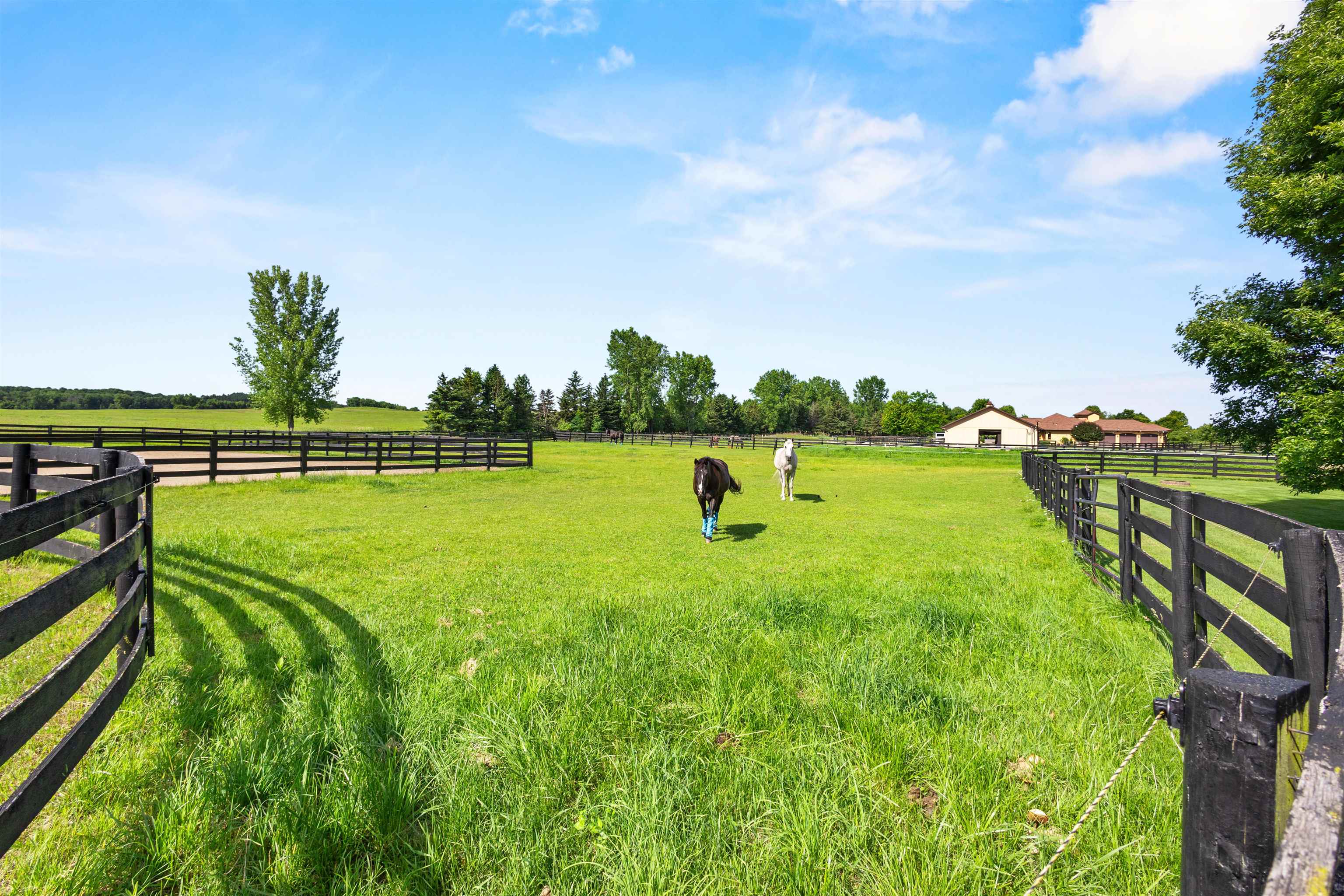 W3493 EQUESTRIAN Trail