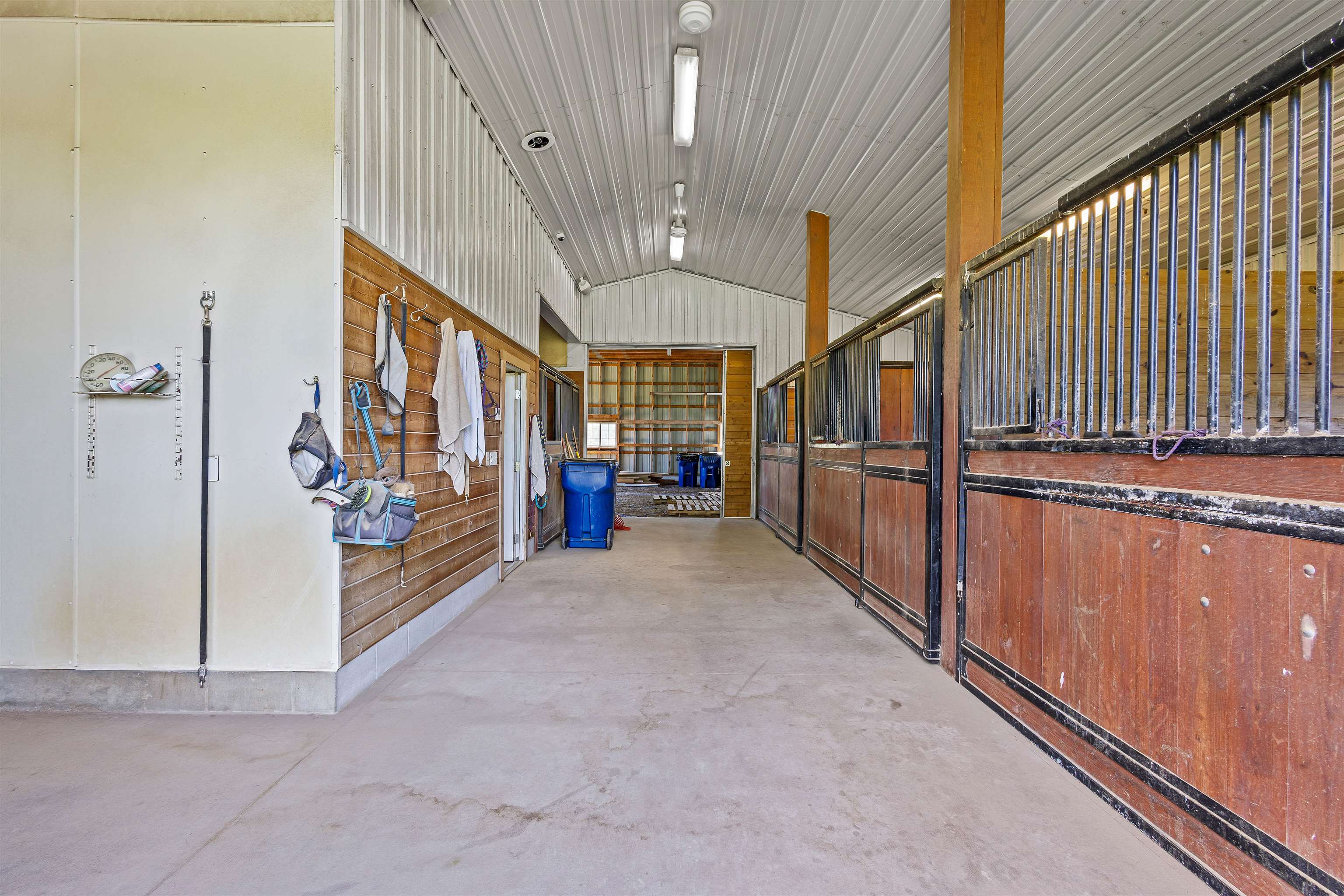 W3493 EQUESTRIAN Trail